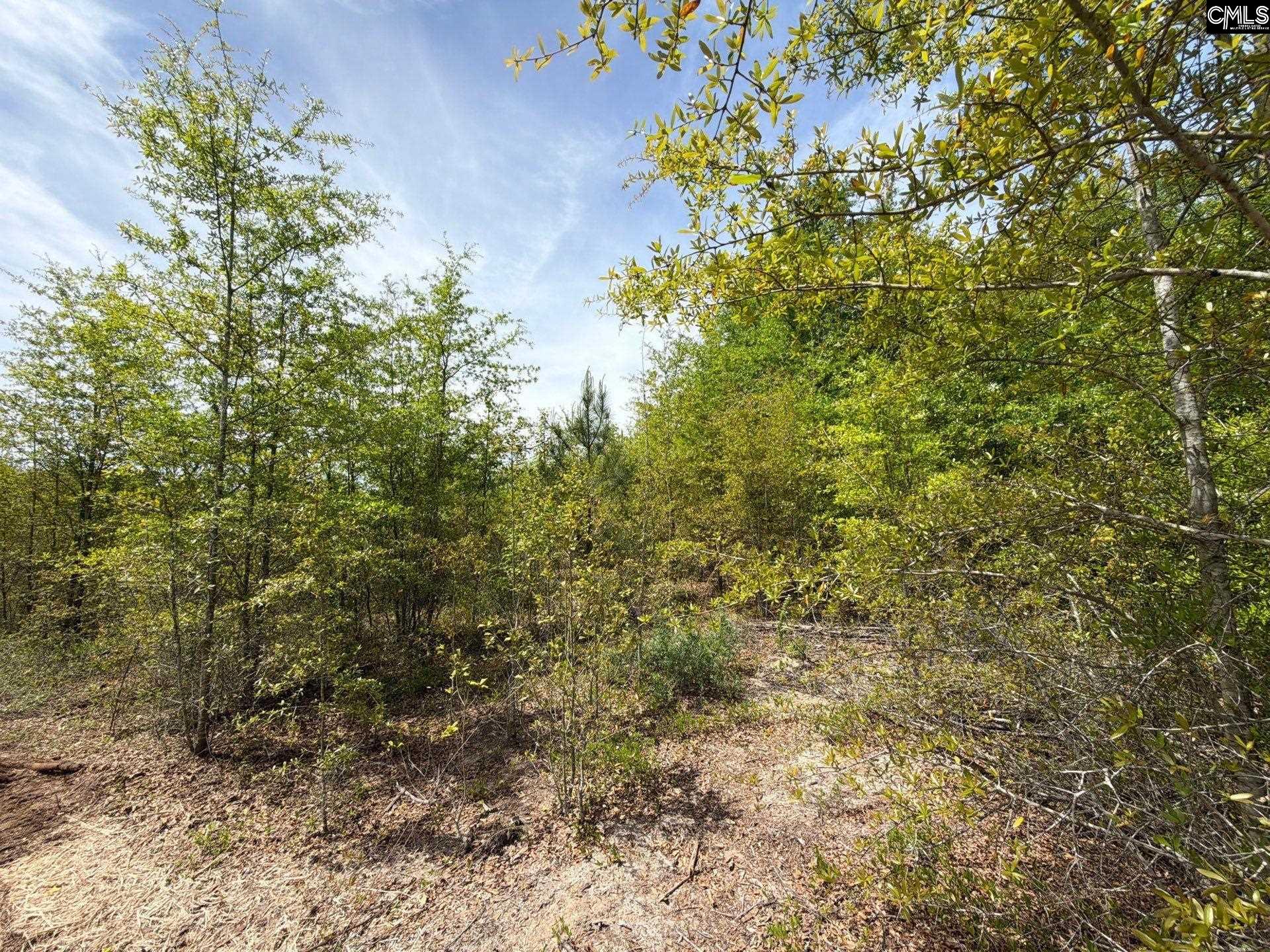 RRF 6 Rogers Cemetery Road UNIT RRF 6 Salley, SC 29137