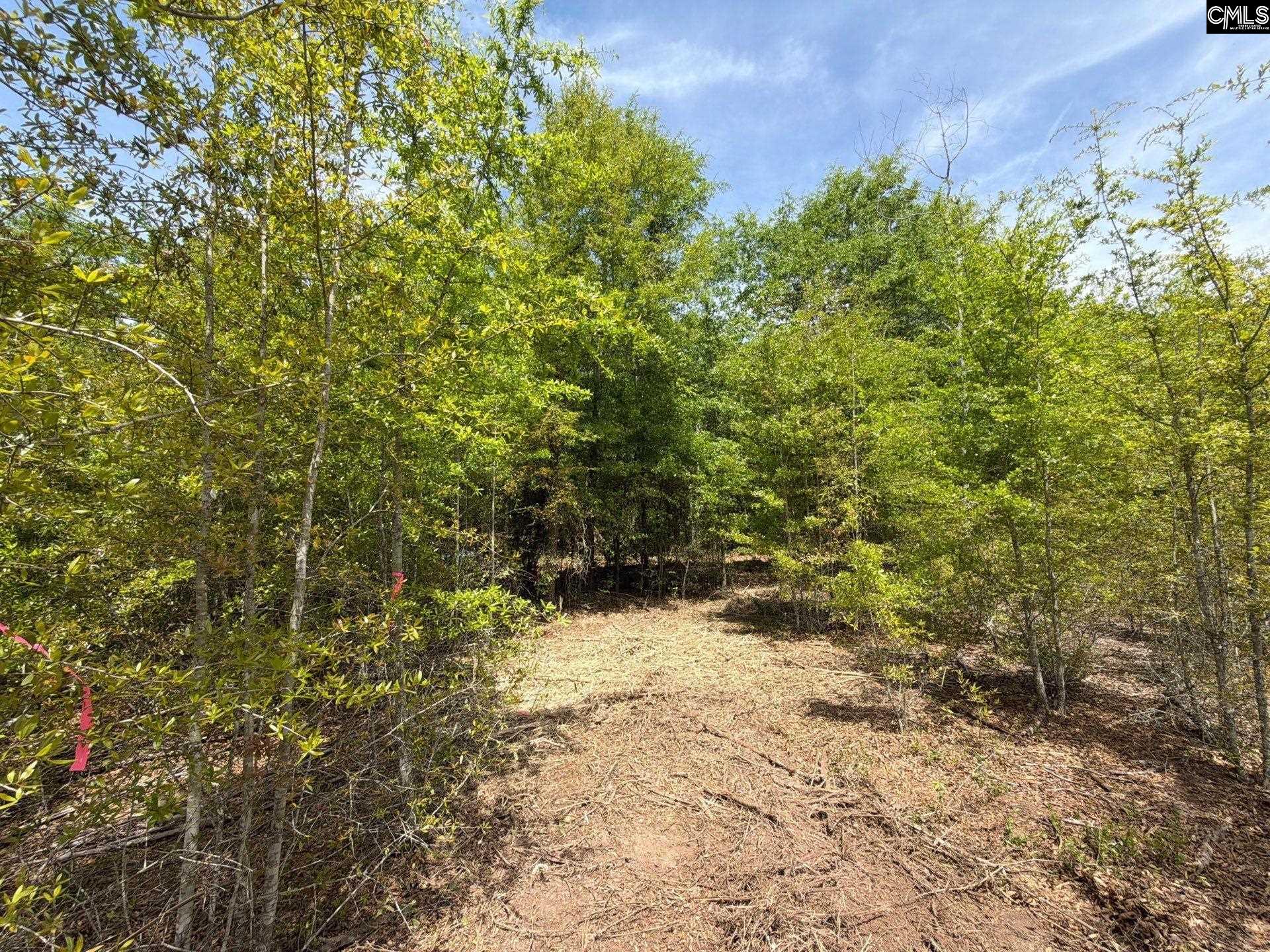 RRF 6 Rogers Cemetery Road UNIT RRF 6 Salley, SC 29137