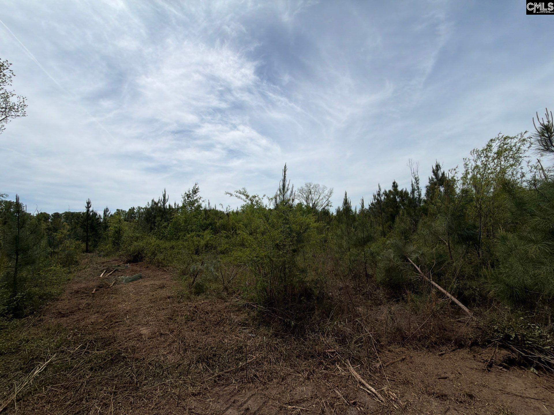 RRF 6 Rogers Cemetery Road UNIT RRF 6 Salley, SC 29137