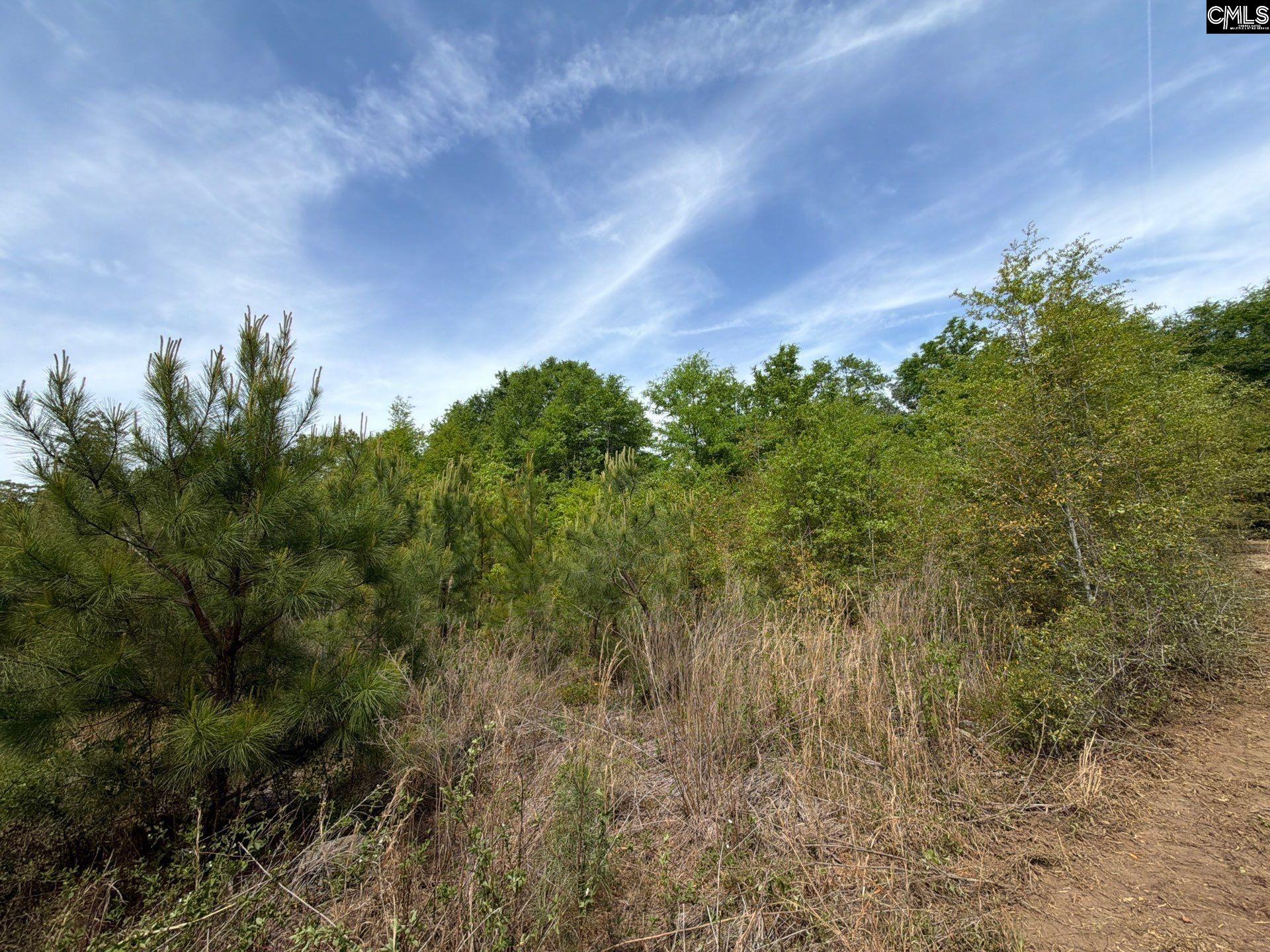 RRF 6 Rogers Cemetery Road UNIT RRF 6 Salley, SC 29137