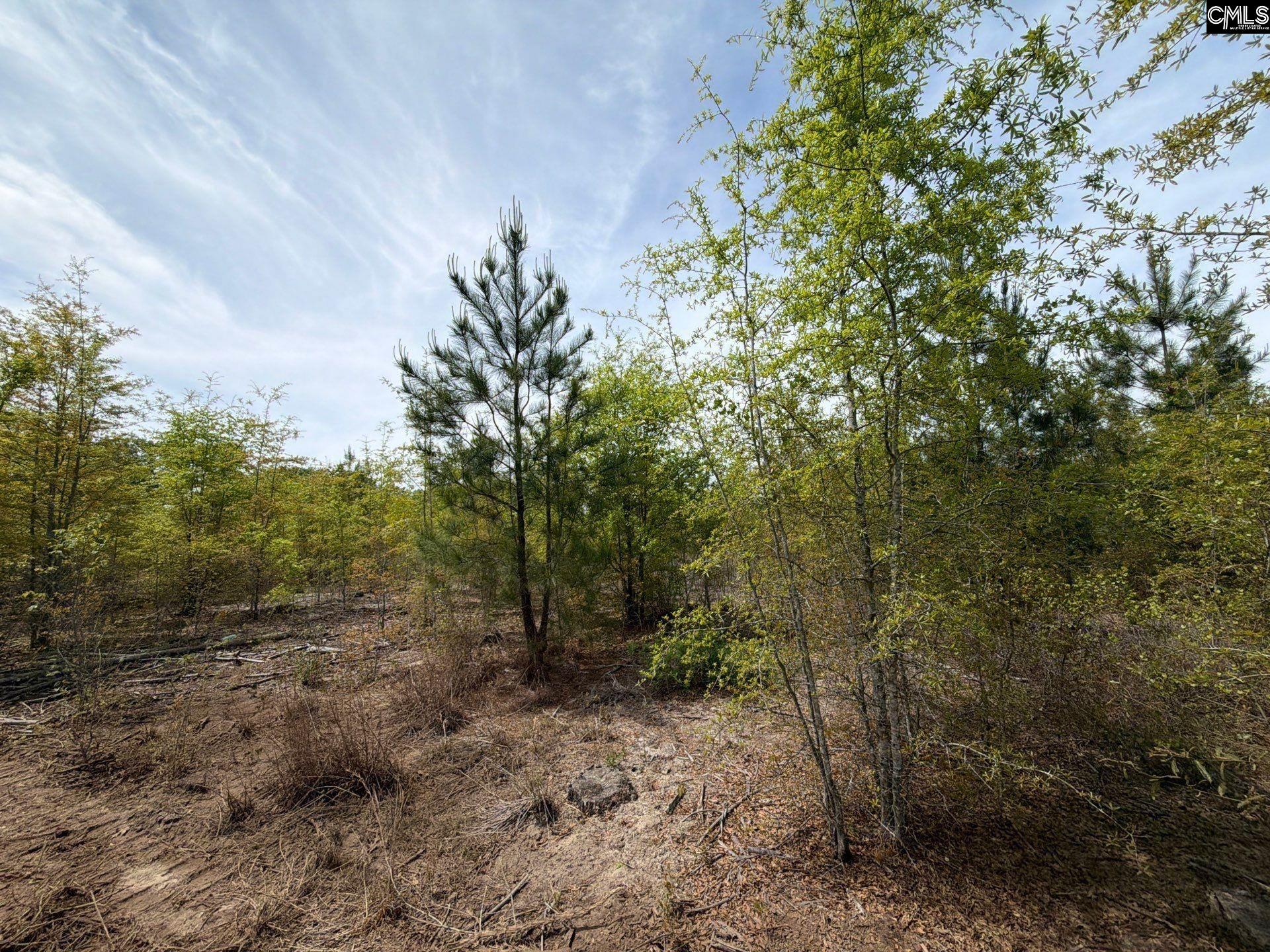 RRF 6 Rogers Cemetery Road UNIT RRF 6 Salley, SC 29137