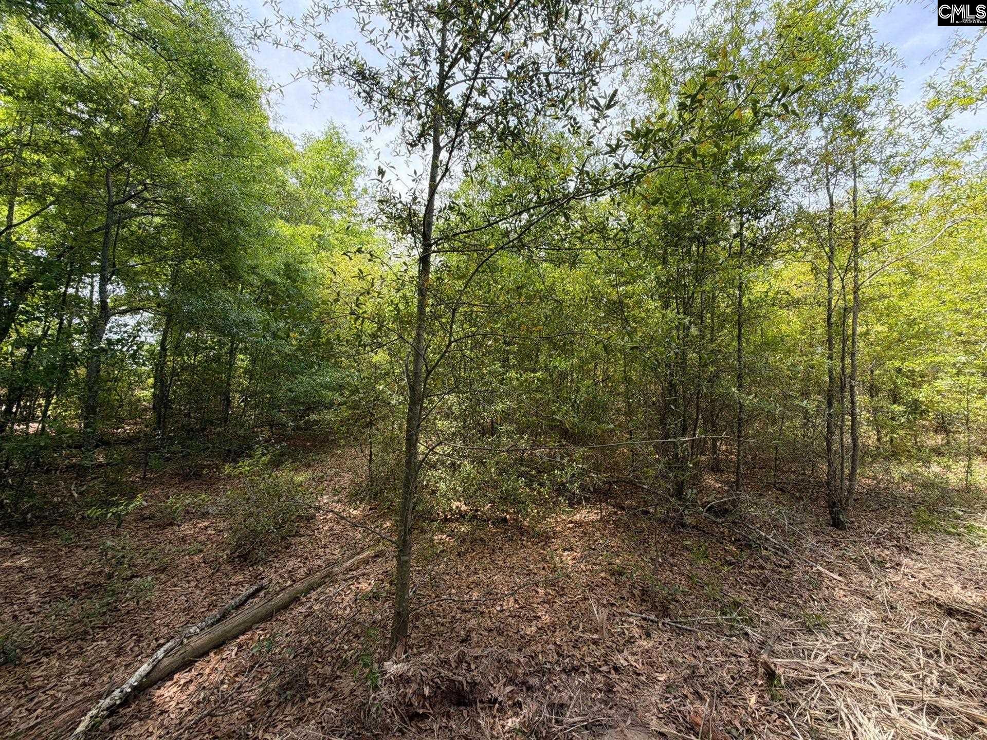 RRF 6 Rogers Cemetery Road UNIT RRF 6 Salley, SC 29137