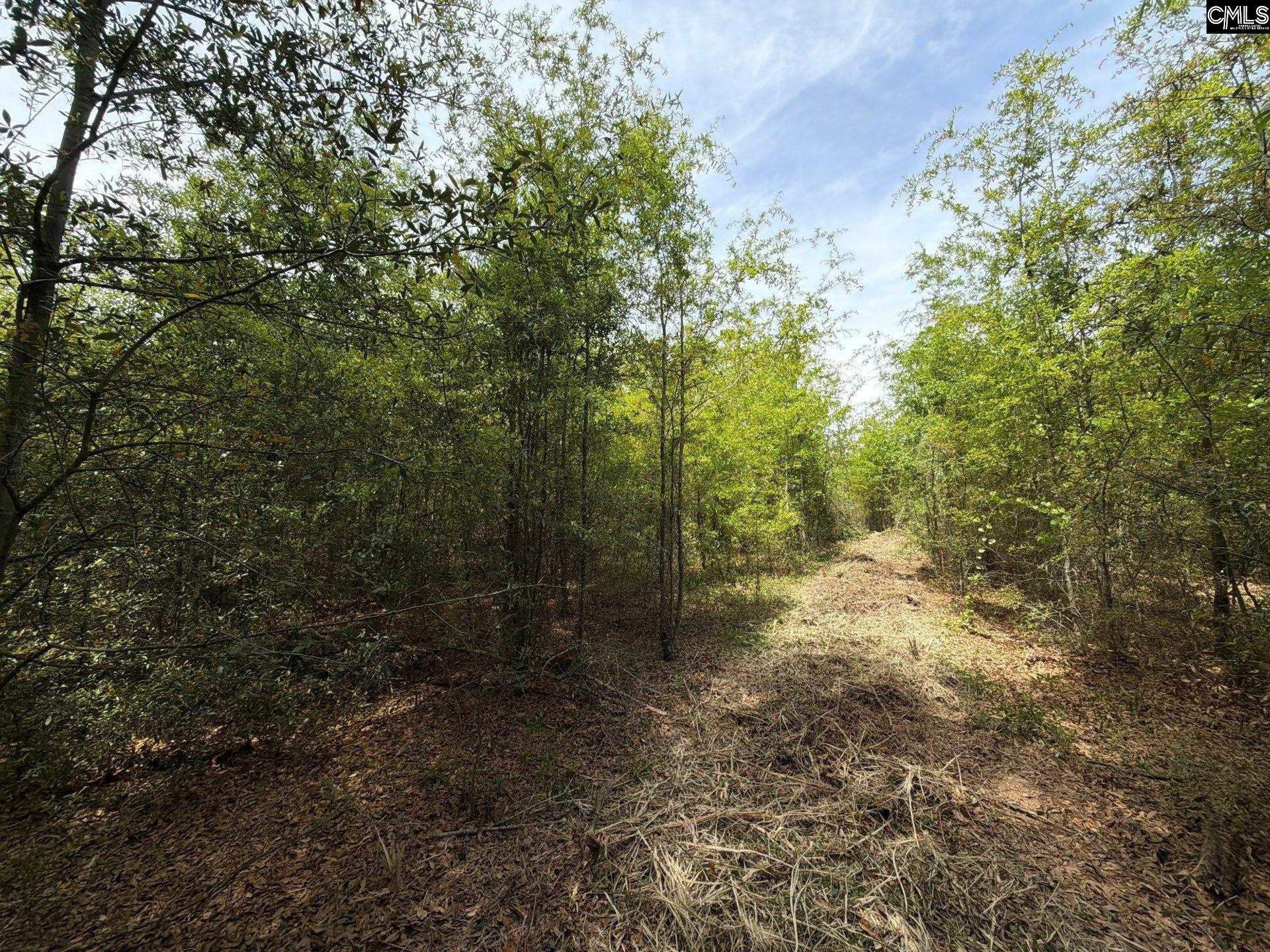 RRF 6 Rogers Cemetery Road UNIT RRF 6 Salley, SC 29137