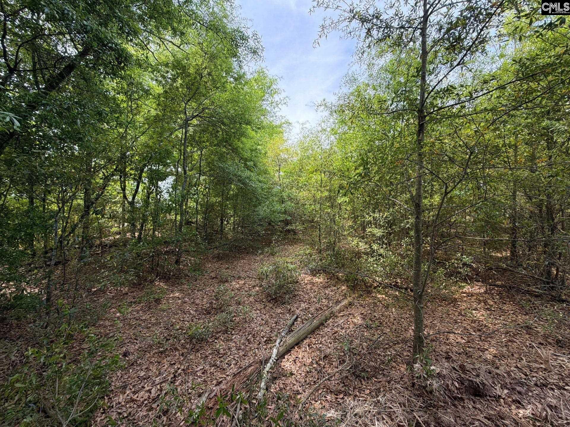 RRF 6 Rogers Cemetery Road UNIT RRF 6 Salley, SC 29137