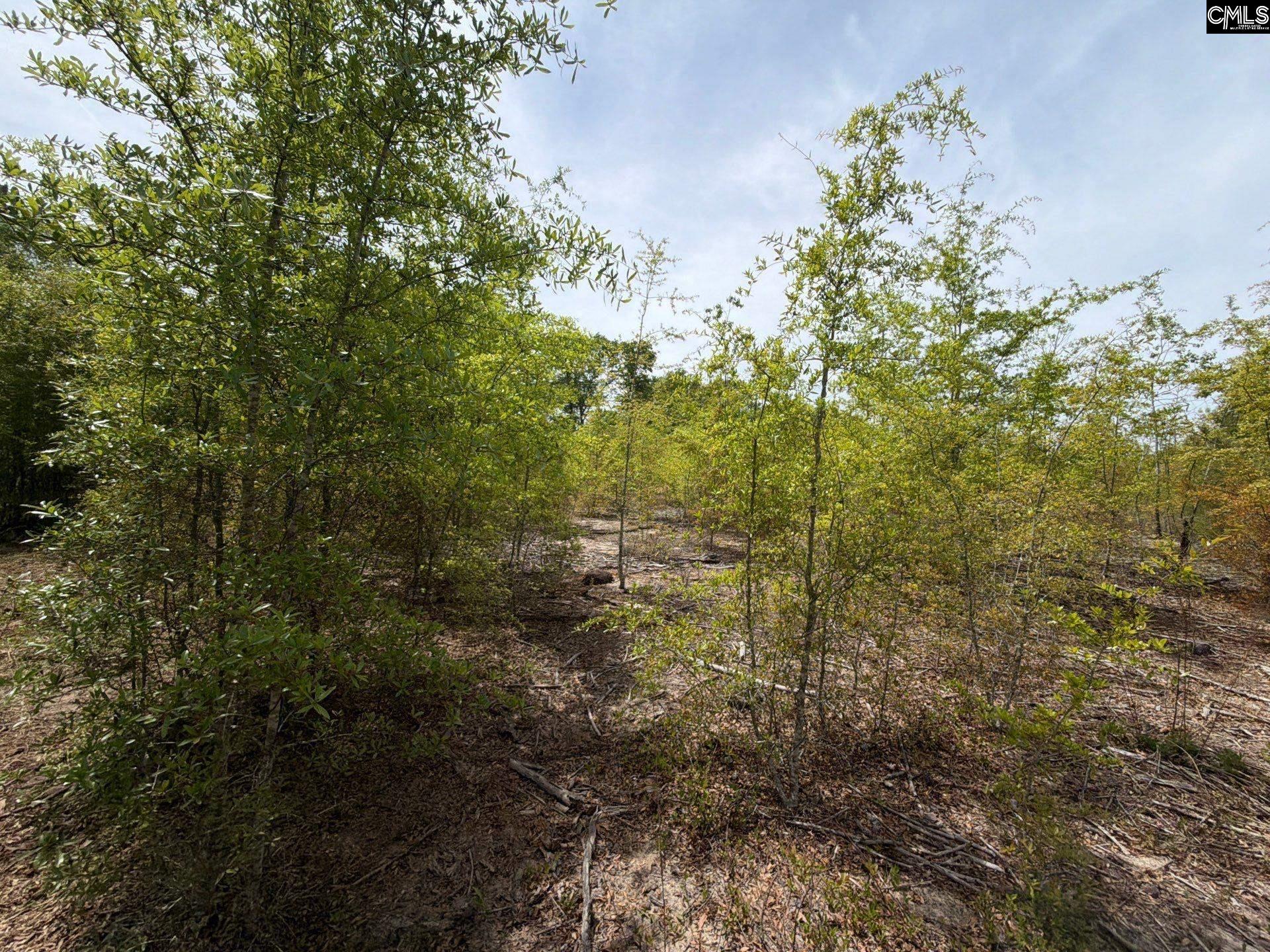 RRF 6 Rogers Cemetery Road UNIT RRF 6 Salley, SC 29137