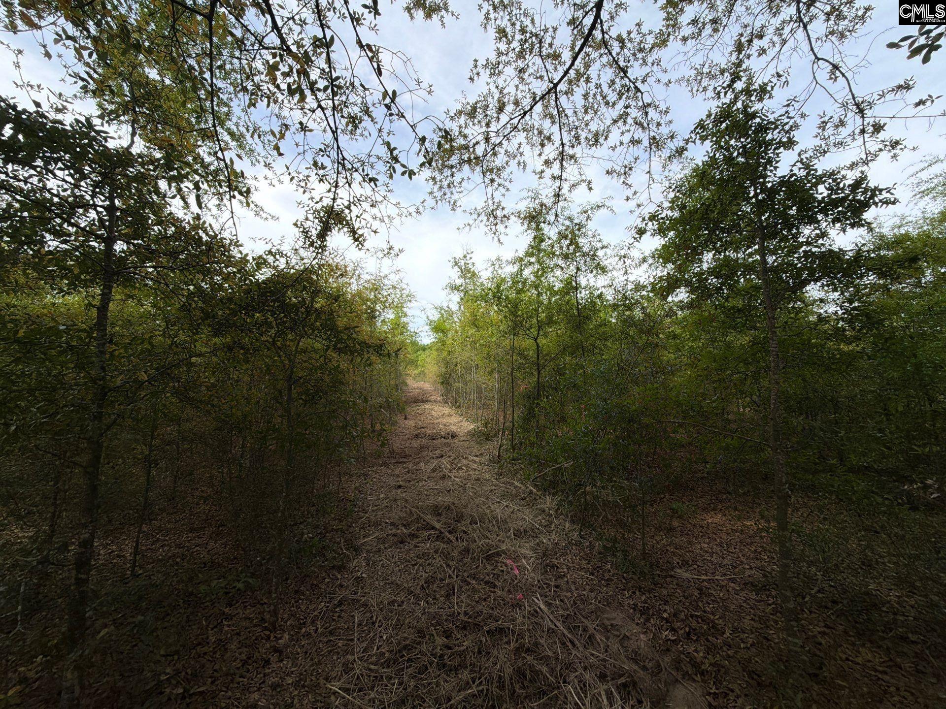 RRF 6 Rogers Cemetery Road UNIT RRF 6 Salley, SC 29137
