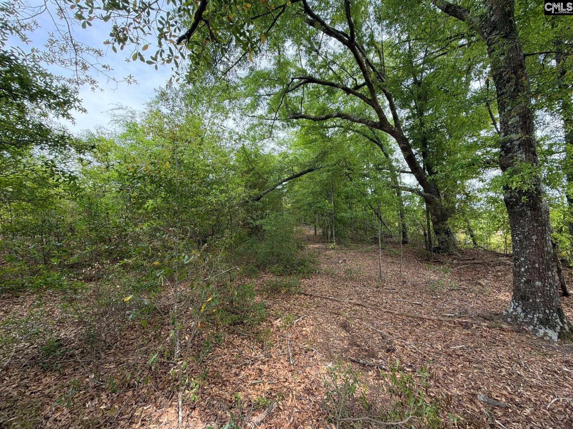 RRF 6 Rogers Cemetery Road UNIT RRF 6 Salley, SC 29137
