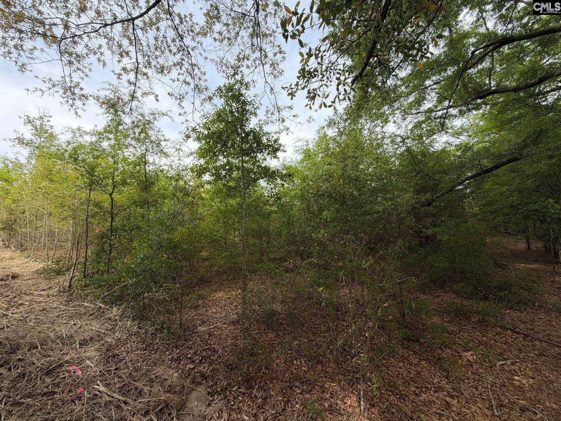 RRF 6 Rogers Cemetery Road UNIT RRF 6 Salley, SC 29137