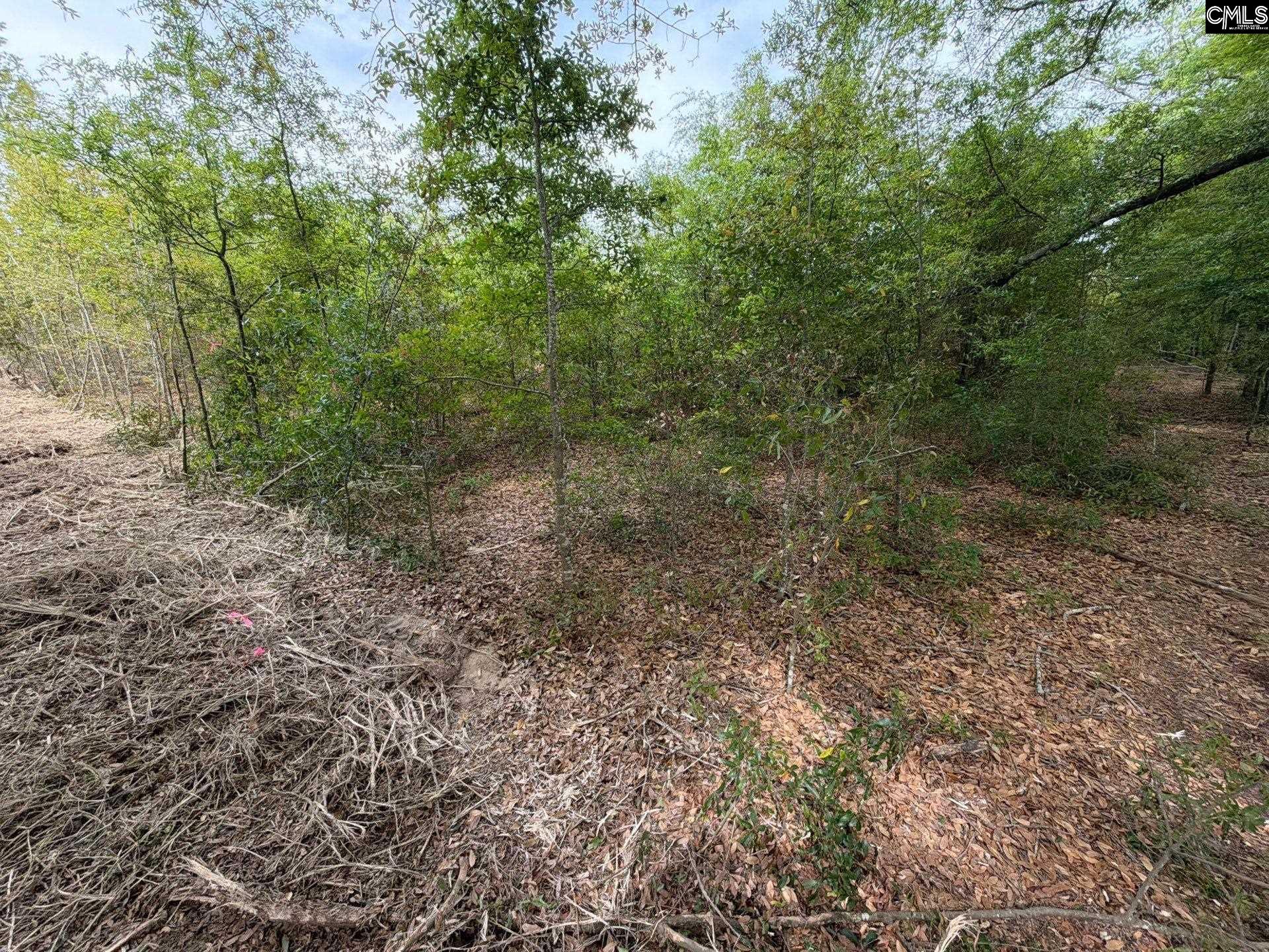RRF 6 Rogers Cemetery Road UNIT RRF 6 Salley, SC 29137