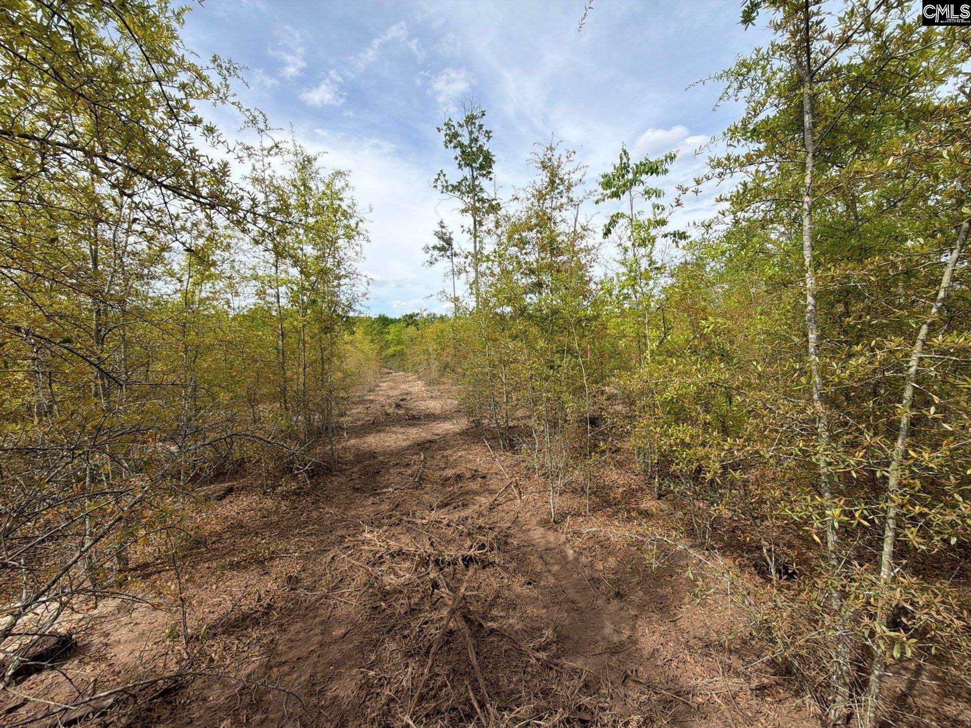 RRF 6 Rogers Cemetery Road UNIT RRF 6 Salley, SC 29137