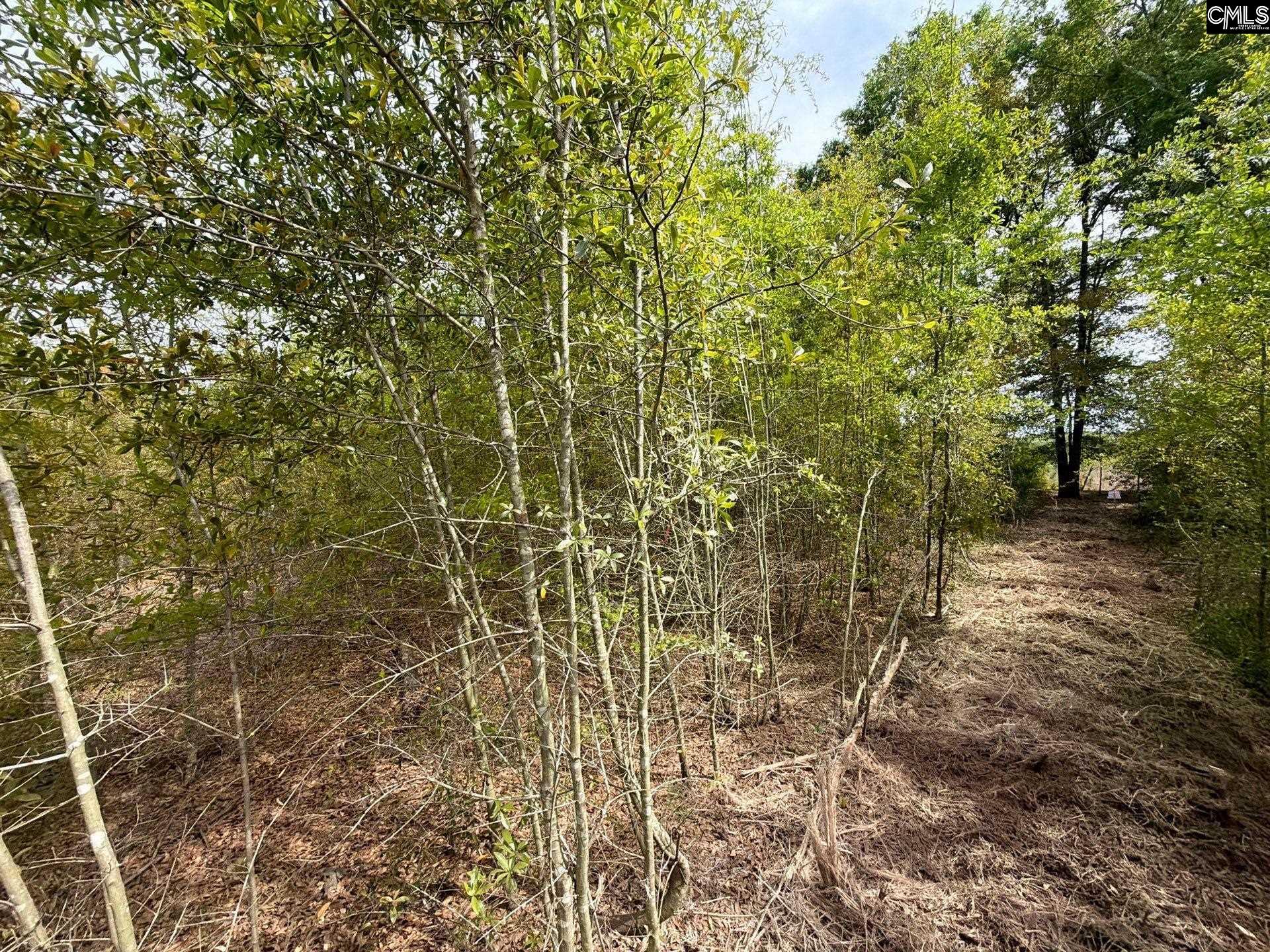 RRF 6 Rogers Cemetery Road UNIT RRF 6 Salley, SC 29137