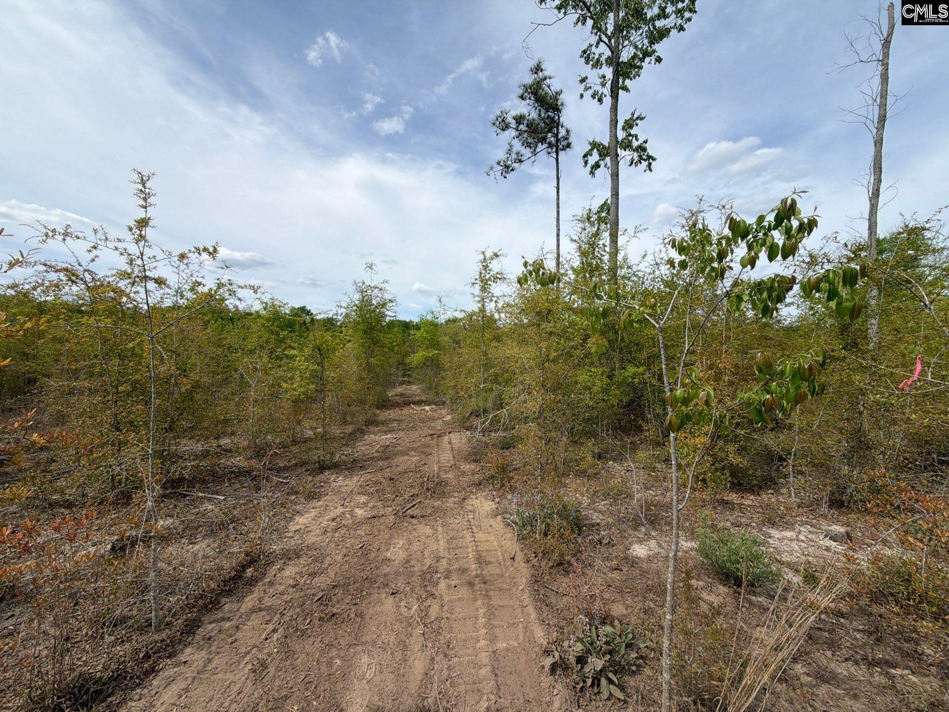 RRF 6 Rogers Cemetery Road UNIT RRF 6 Salley, SC 29137