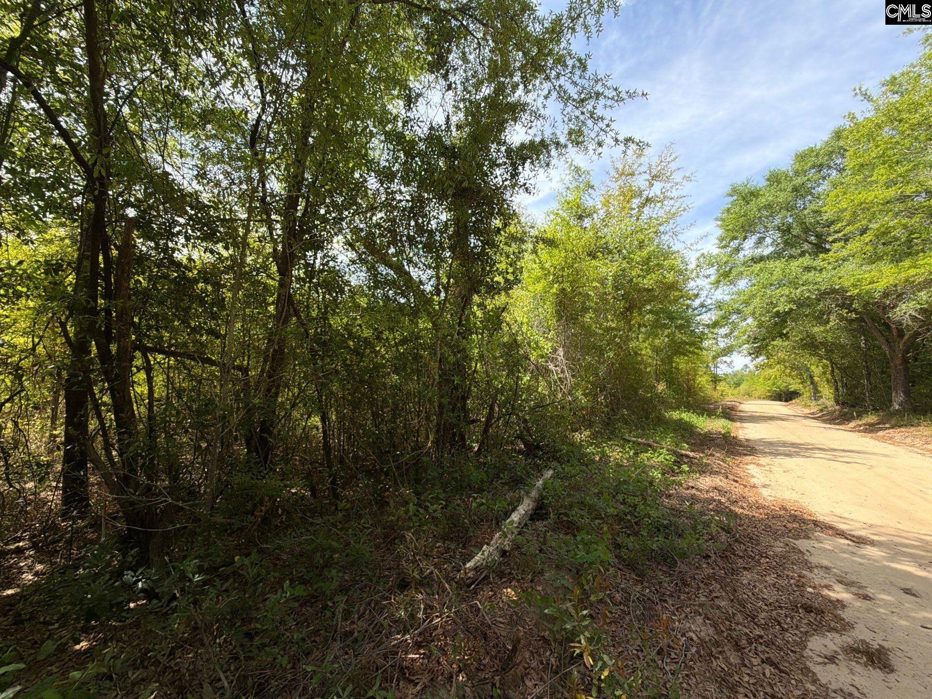 RRF 6 Rogers Cemetery Road UNIT RRF 6 Salley, SC 29137