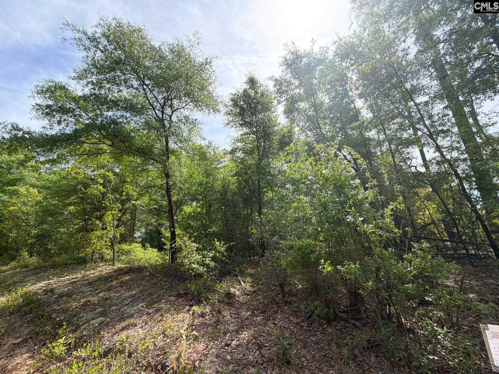 RRF 7 Rogers Cemetery Road UNIT RRF 7 Salley, SC 29137