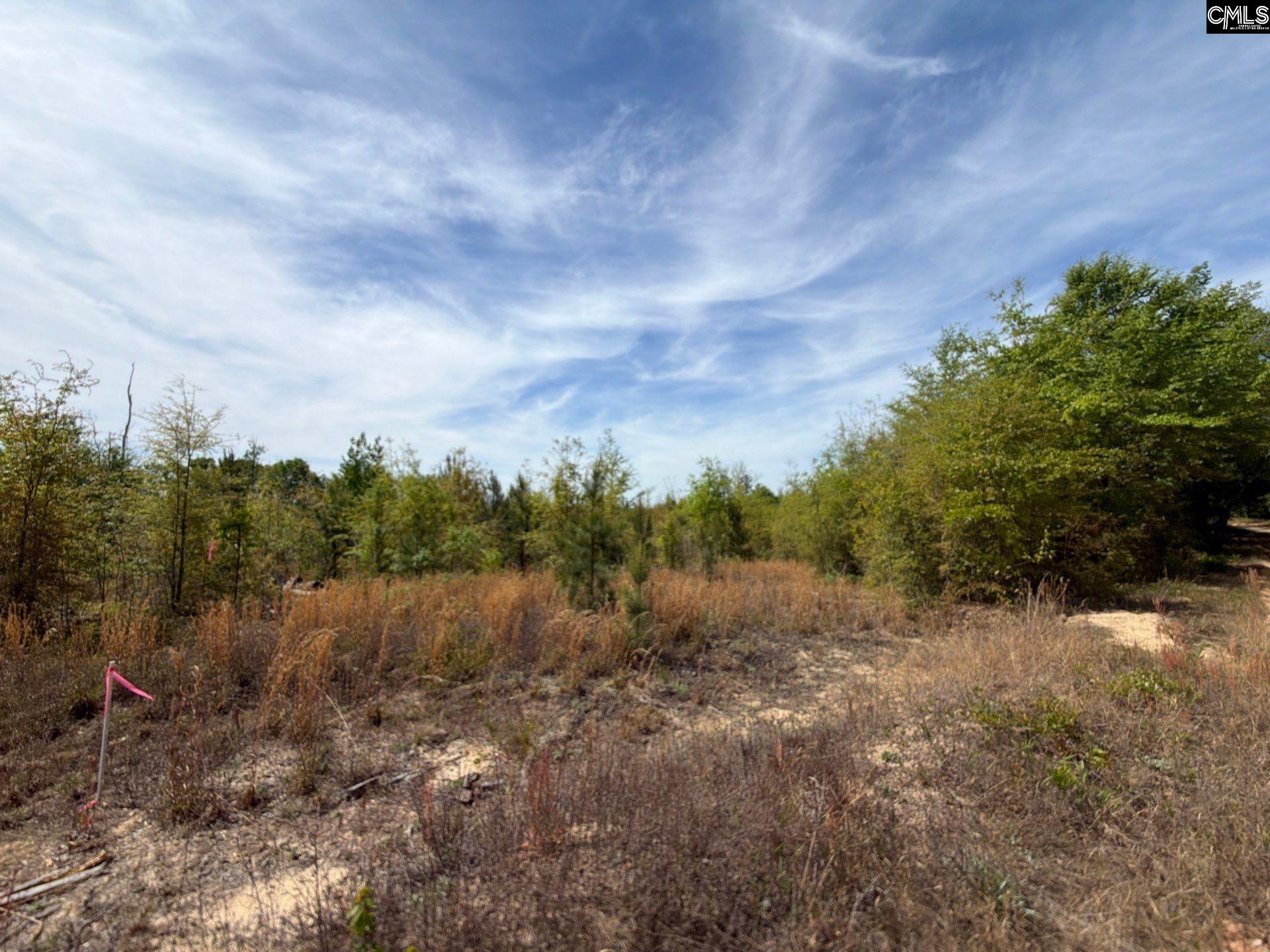 RRF 7 Rogers Cemetery Road UNIT RRF 7 Salley, SC 29137