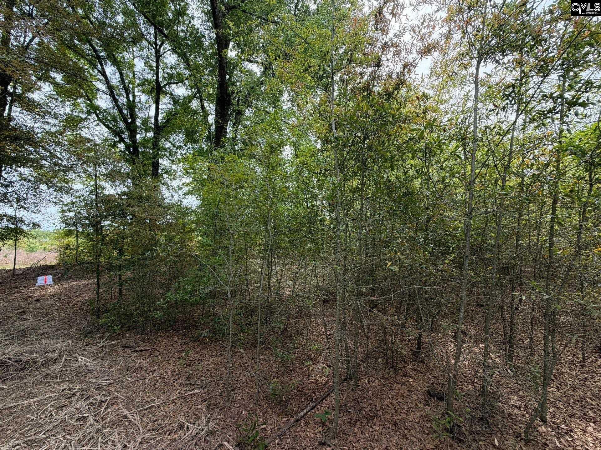 RRF 7 Rogers Cemetery Road UNIT RRF 7 Salley, SC 29137