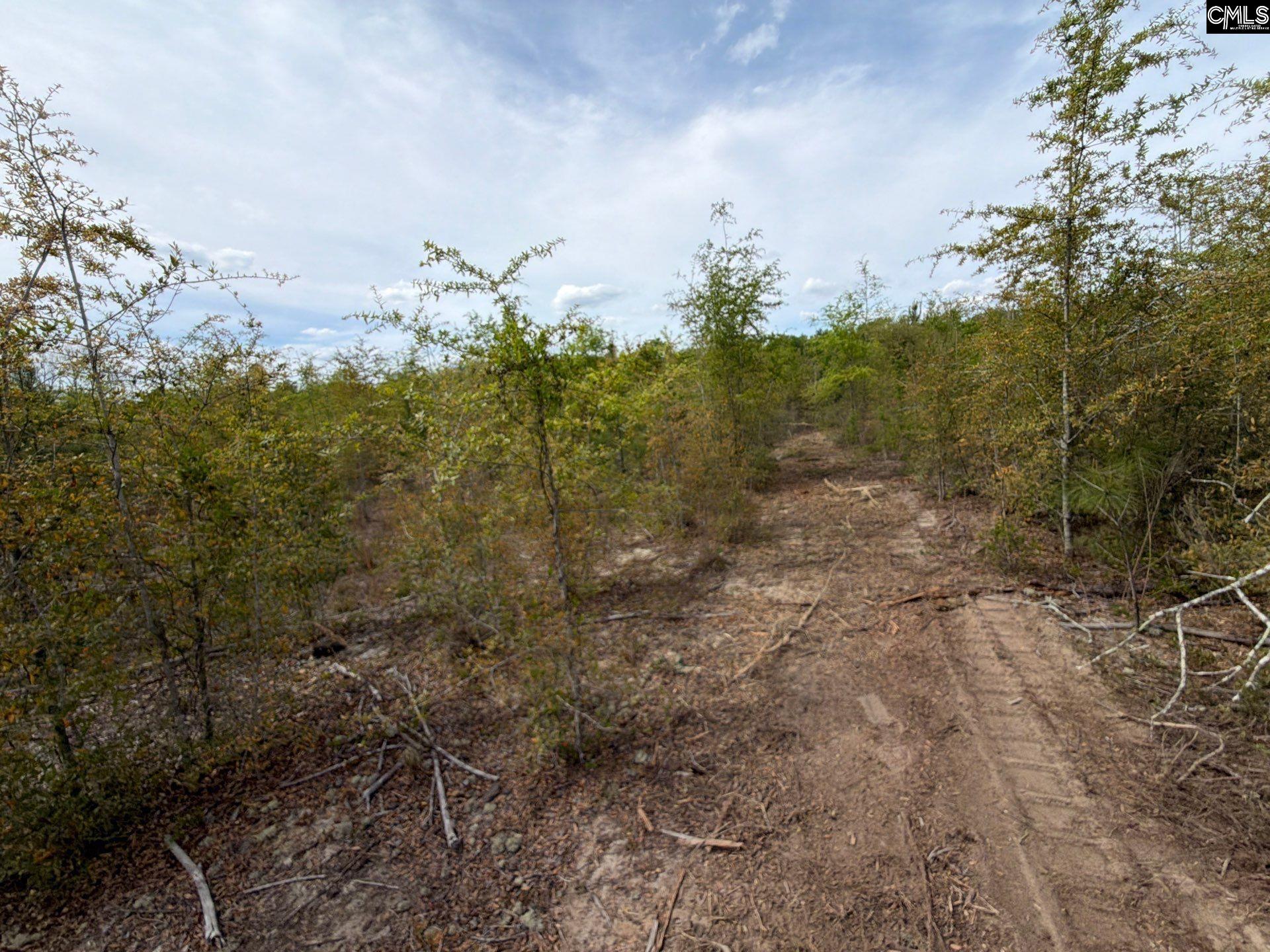 RRF 7 Rogers Cemetery Road UNIT RRF 7 Salley, SC 29137