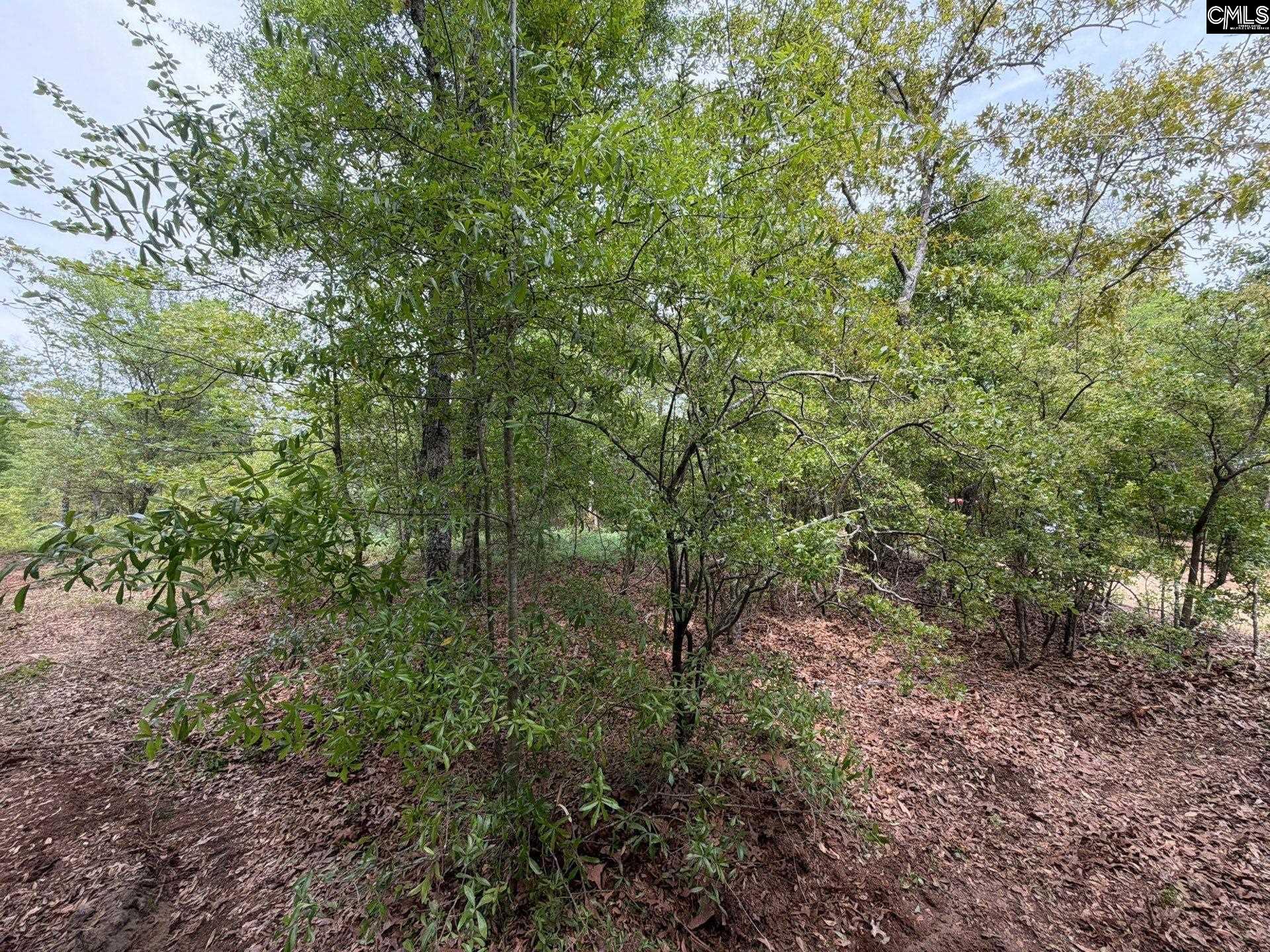 RRF 1 Rogers Cemetery Road UNIT RRF 1 Salley, SC 29137