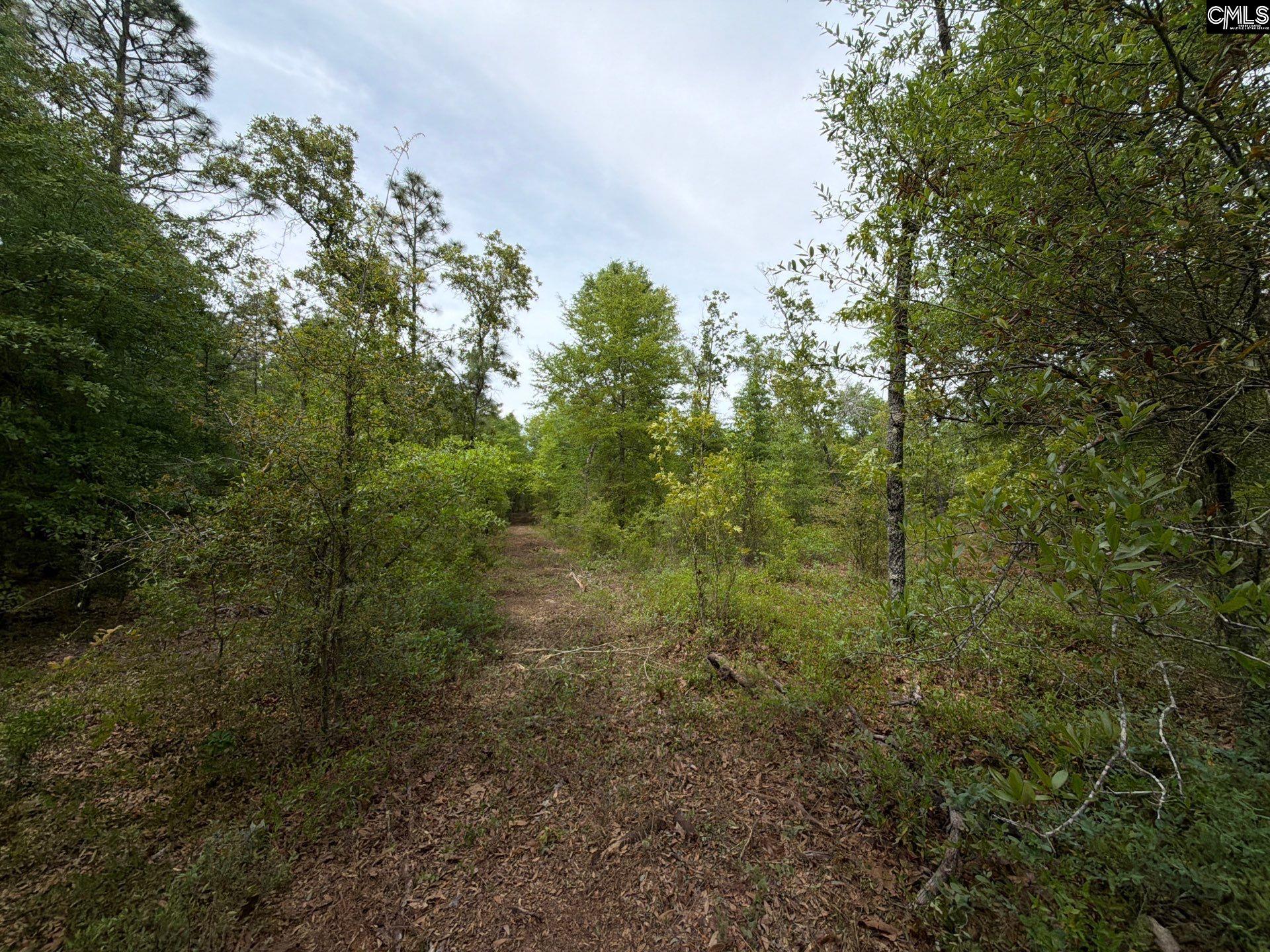 RRF 1 Rogers Cemetery Road UNIT RRF 1 Salley, SC 29137