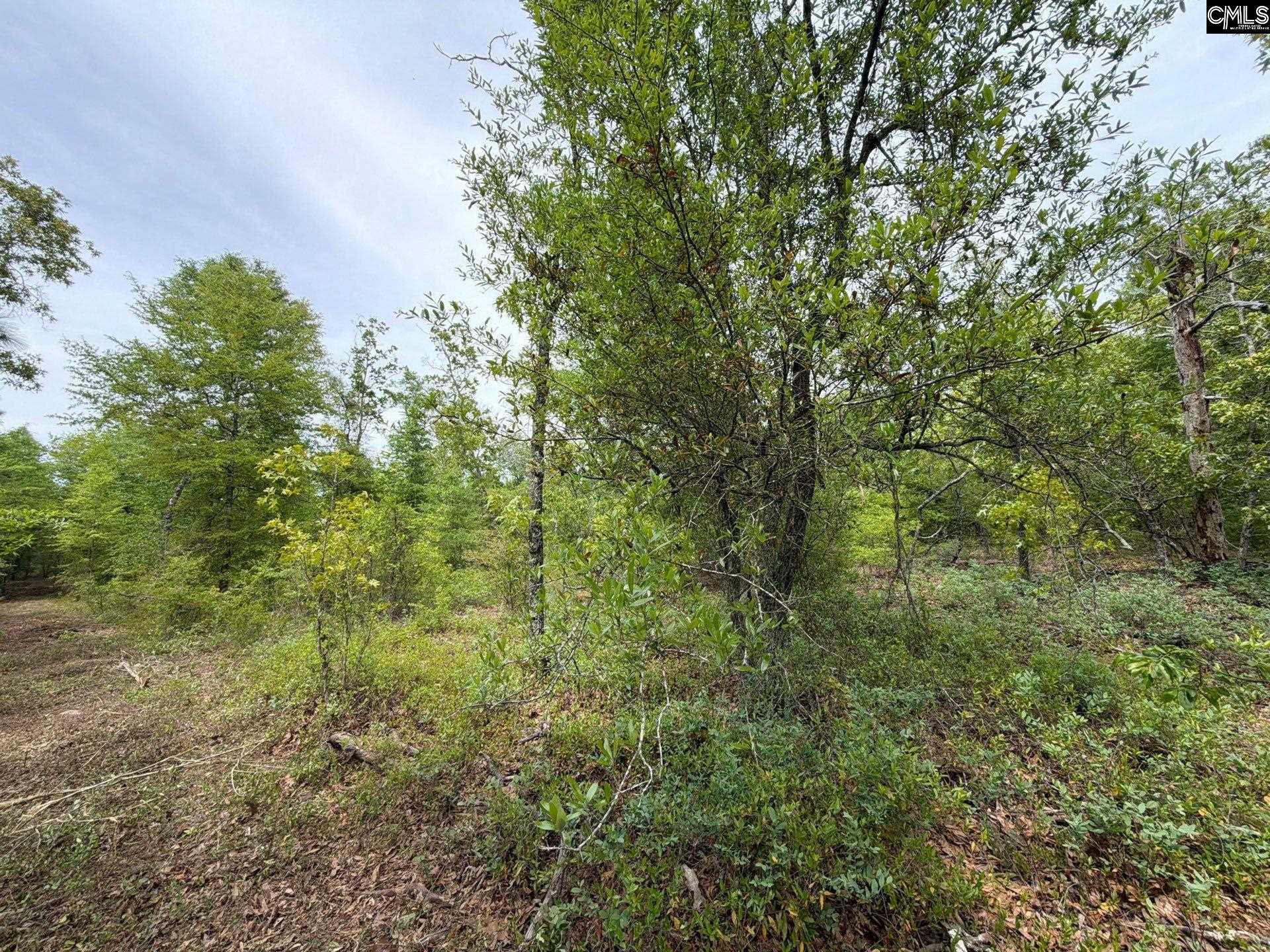 RRF 1 Rogers Cemetery Road UNIT RRF 1 Salley, SC 29137
