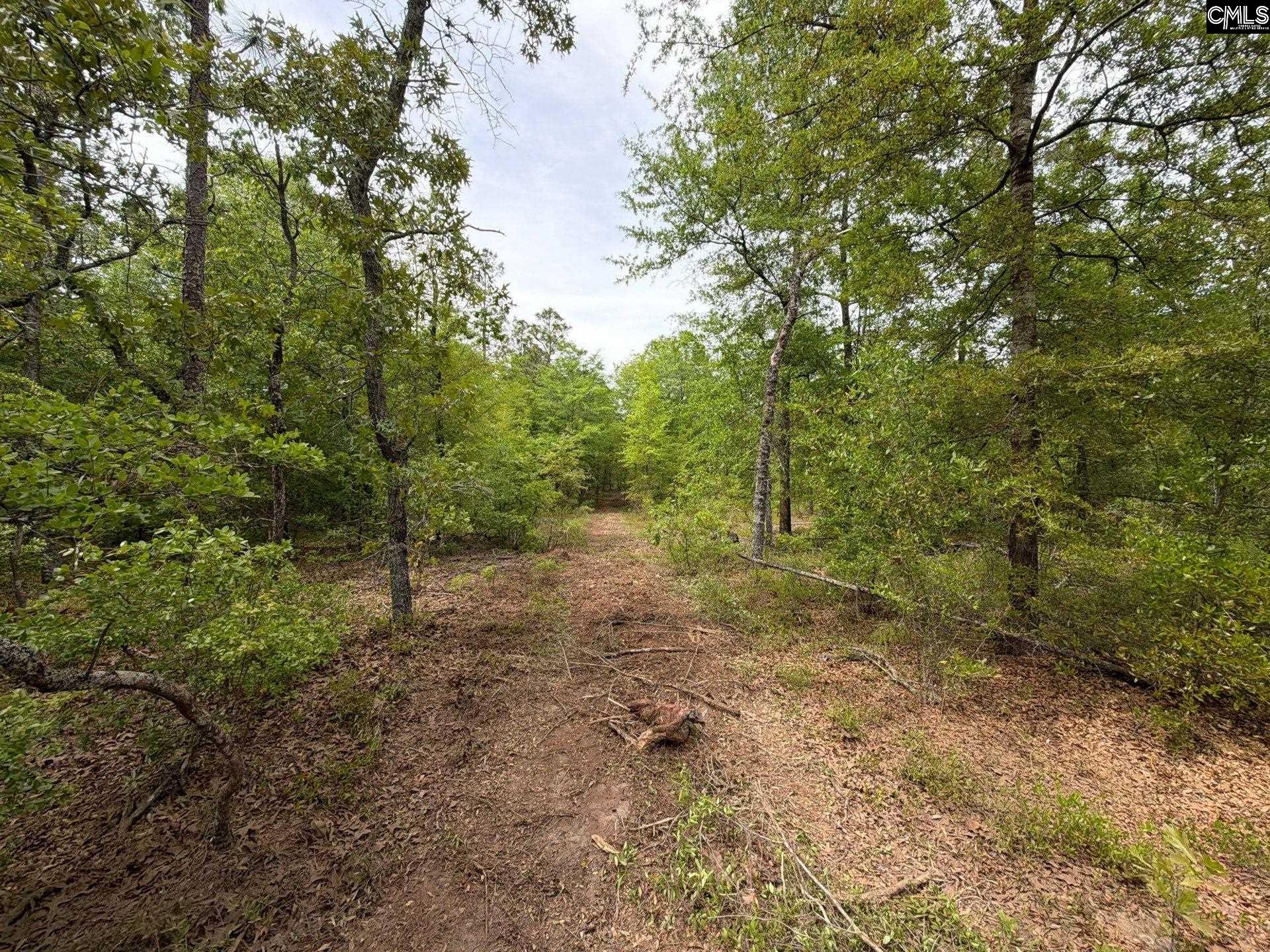 RRF 1 Rogers Cemetery Road UNIT RRF 1 Salley, SC 29137