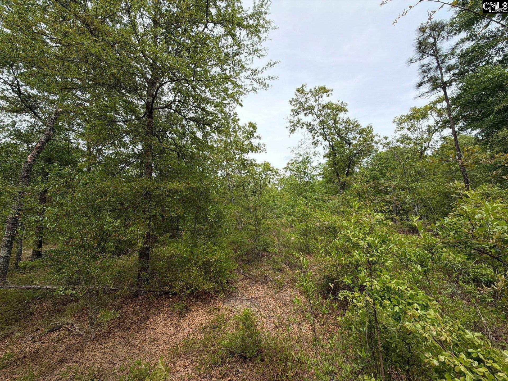 RRF 1 Rogers Cemetery Road UNIT RRF 1 Salley, SC 29137