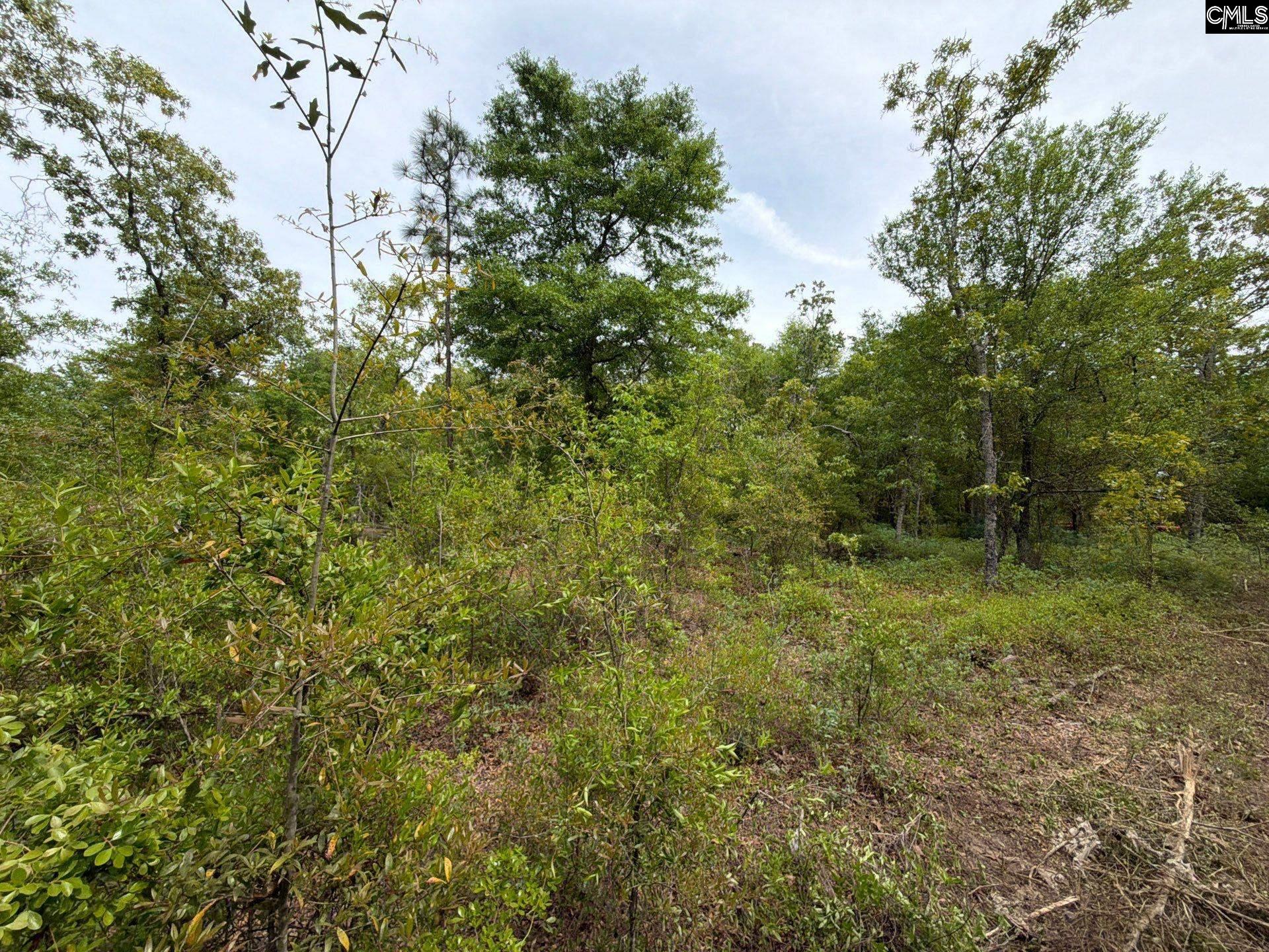 RRF 1 Rogers Cemetery Road UNIT RRF 1 Salley, SC 29137