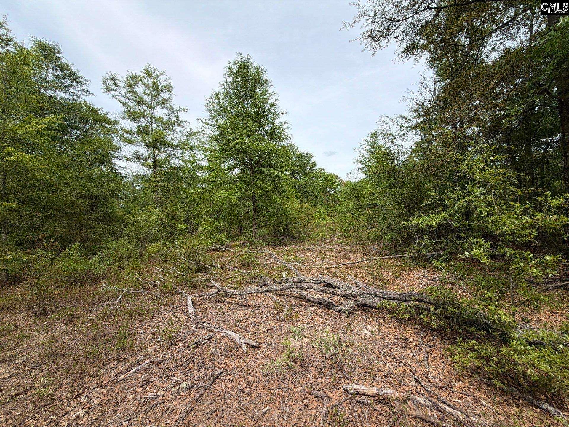 RRF 1 Rogers Cemetery Road UNIT RRF 1 Salley, SC 29137