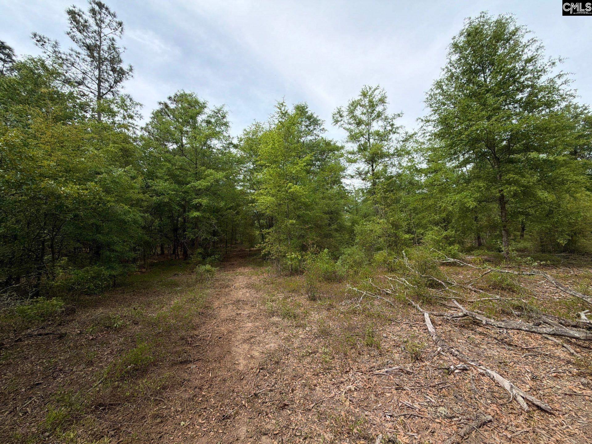 RRF 1 Rogers Cemetery Road UNIT RRF 1 Salley, SC 29137