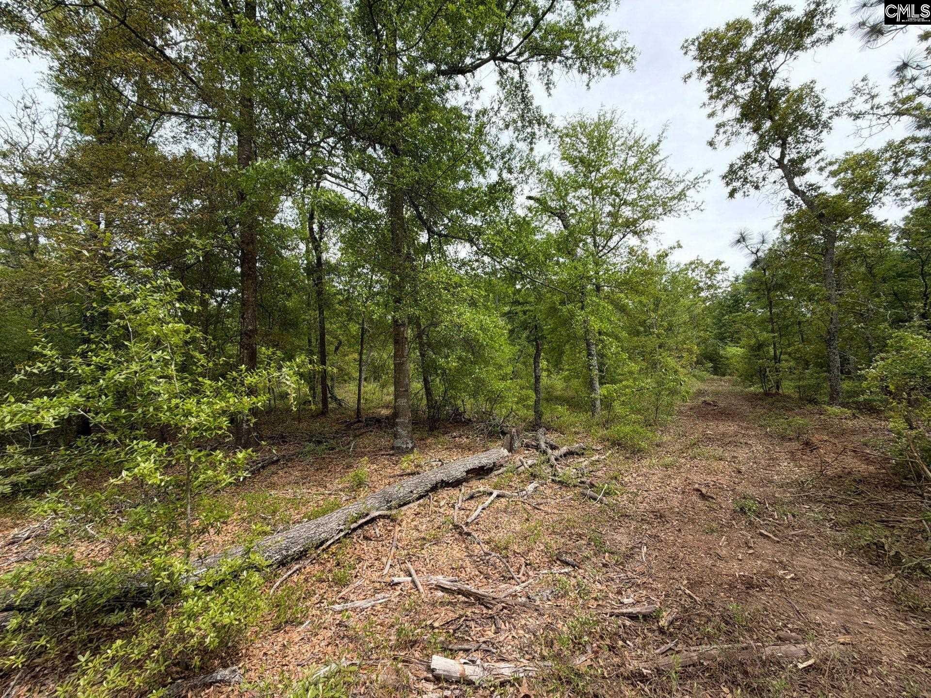 RRF 1 Rogers Cemetery Road UNIT RRF 1 Salley, SC 29137