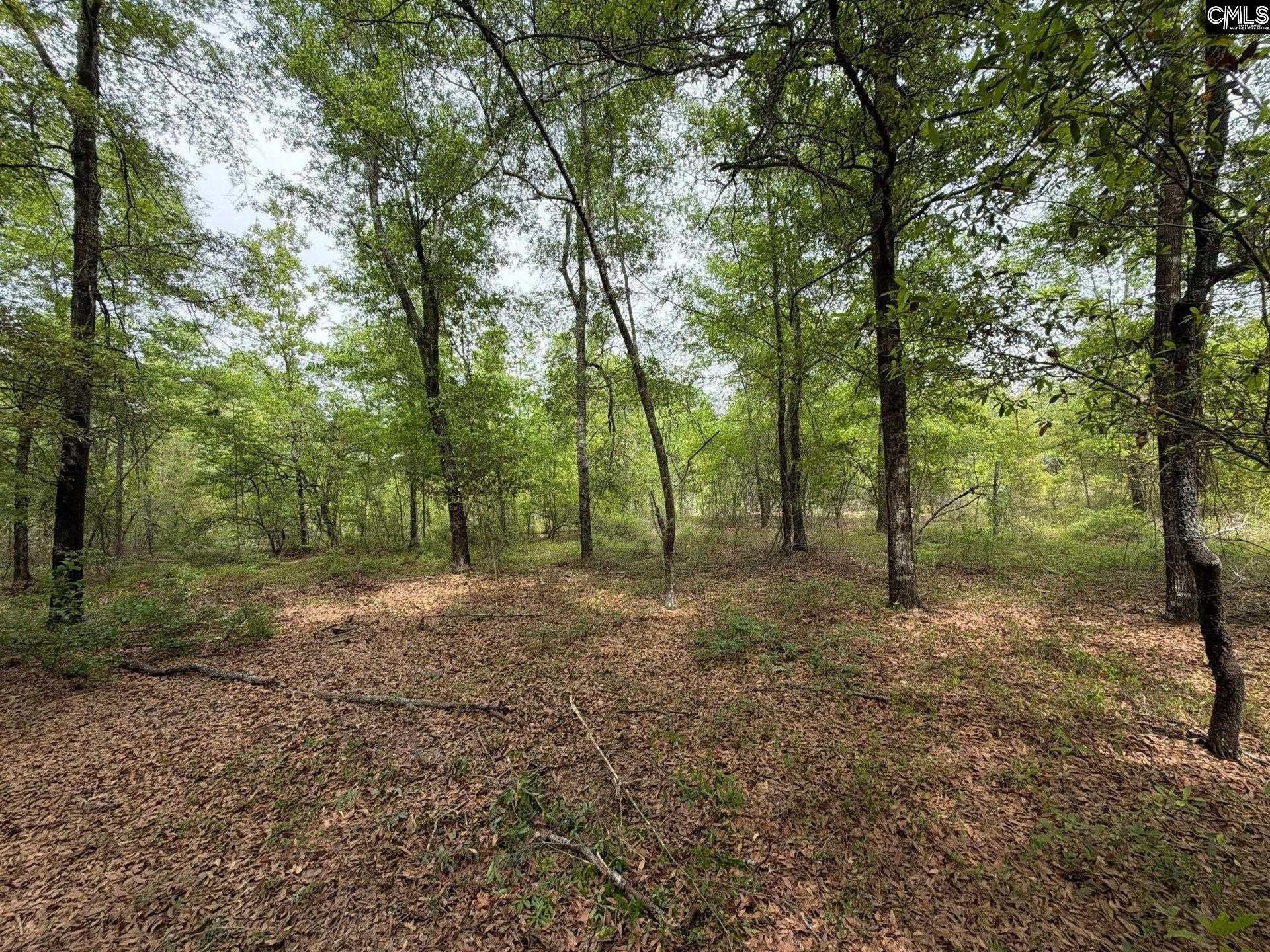 RRF 1 Rogers Cemetery Road UNIT RRF 1 Salley, SC 29137