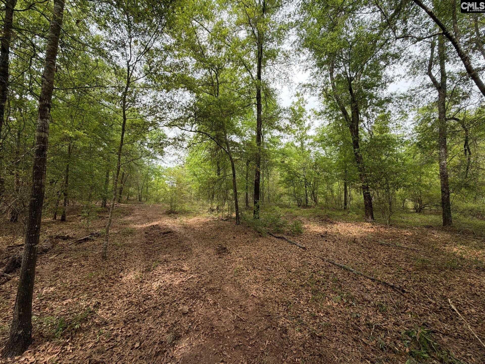 RRF 1 Rogers Cemetery Road UNIT RRF 1 Salley, SC 29137
