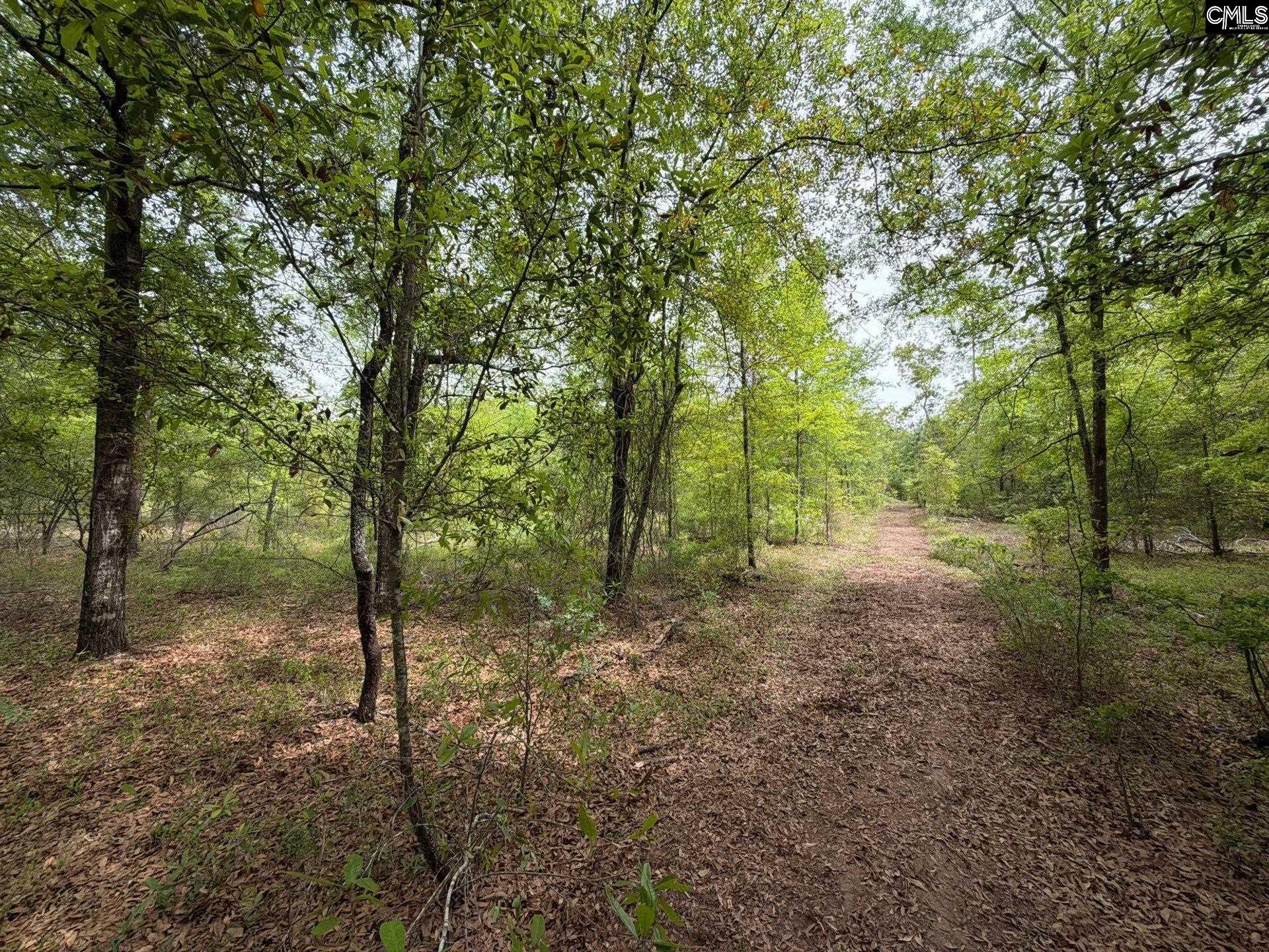 RRF 1 Rogers Cemetery Road UNIT RRF 1 Salley, SC 29137