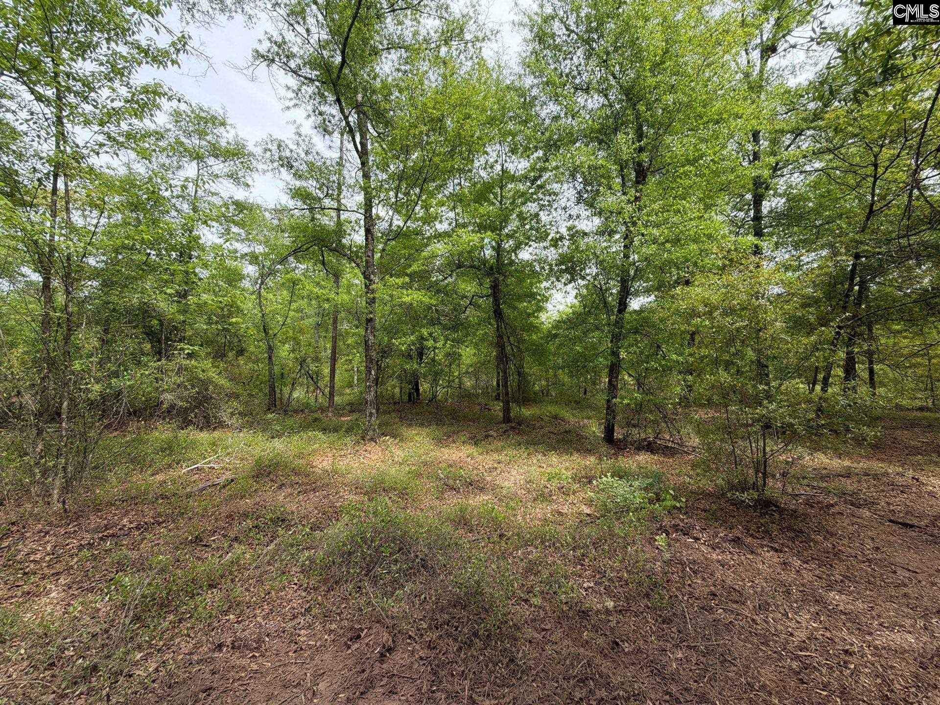 RRF 1 Rogers Cemetery Road UNIT RRF 1 Salley, SC 29137