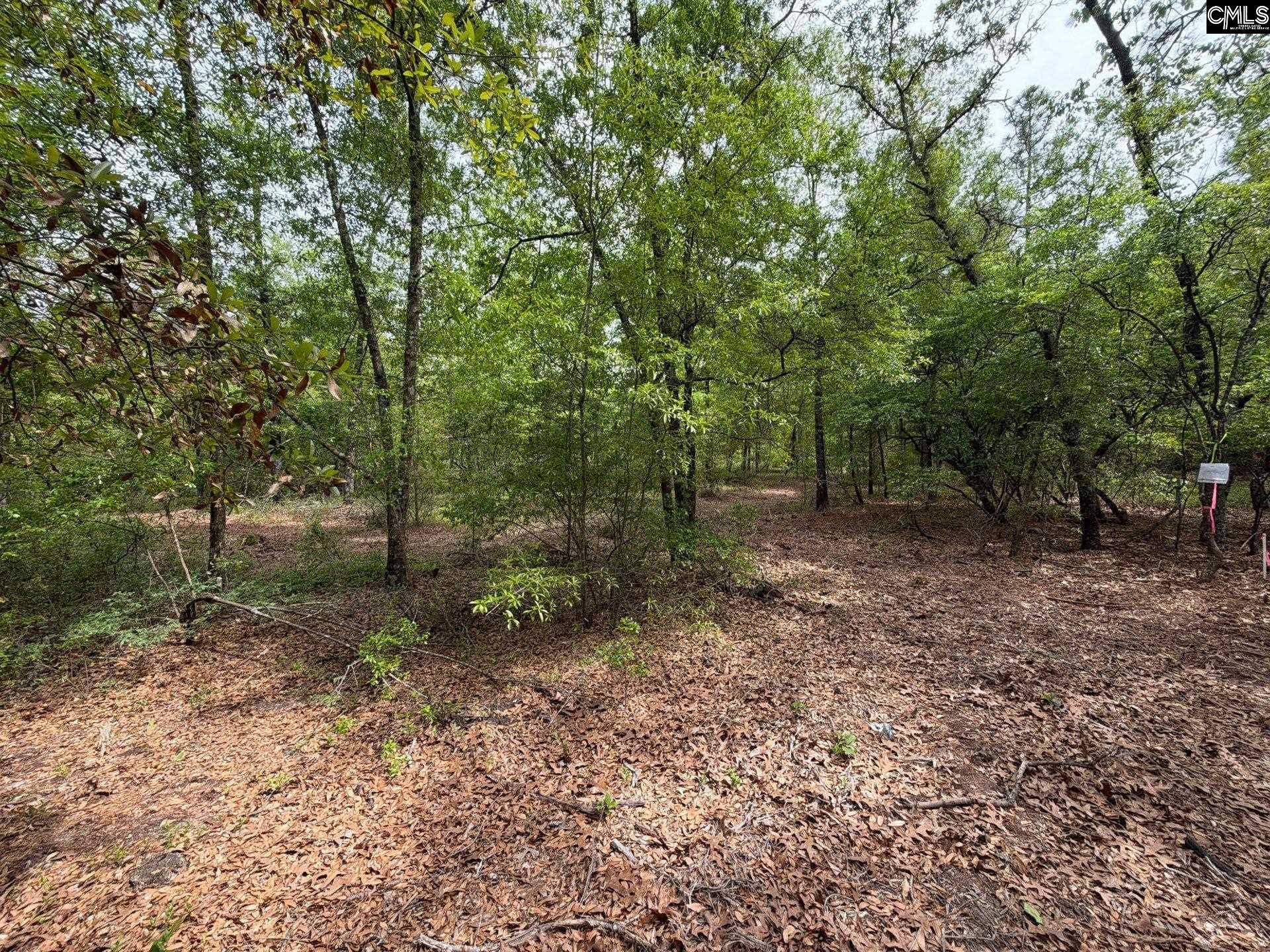 RRF 1 Rogers Cemetery Road UNIT RRF 1 Salley, SC 29137