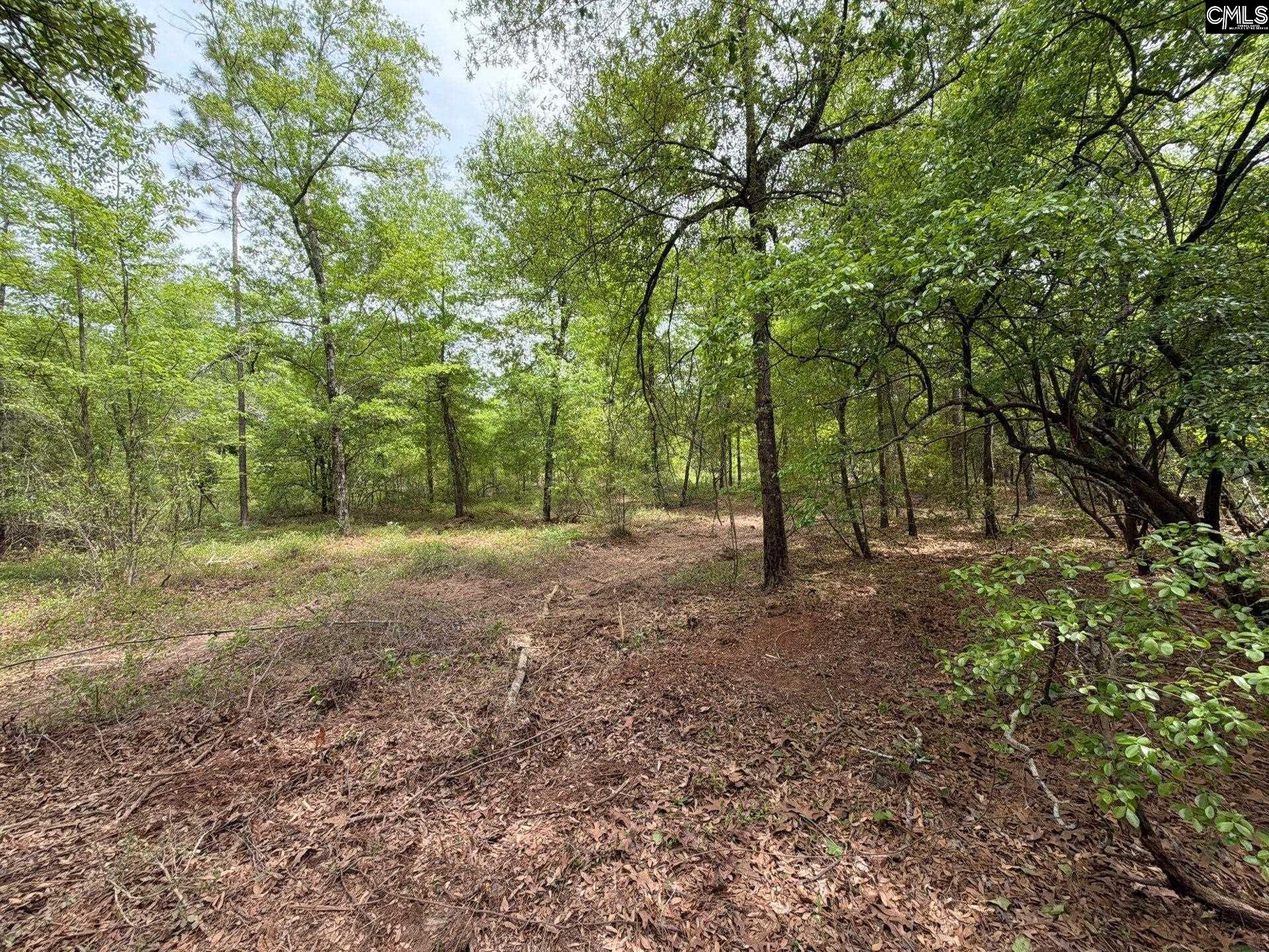 RRF 1 Rogers Cemetery Road UNIT RRF 1 Salley, SC 29137