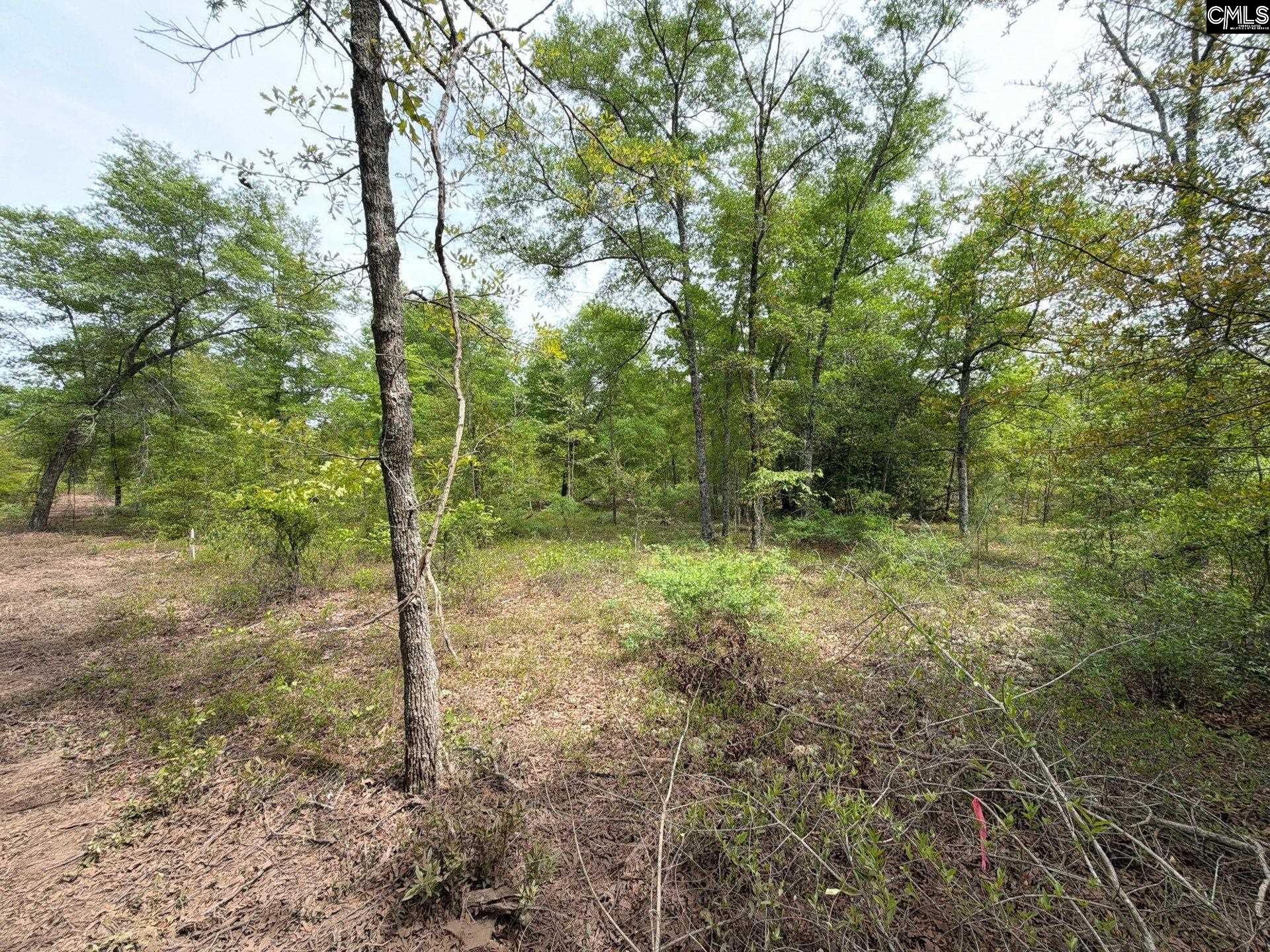 RRF 1 Rogers Cemetery Road UNIT RRF 1 Salley, SC 29137