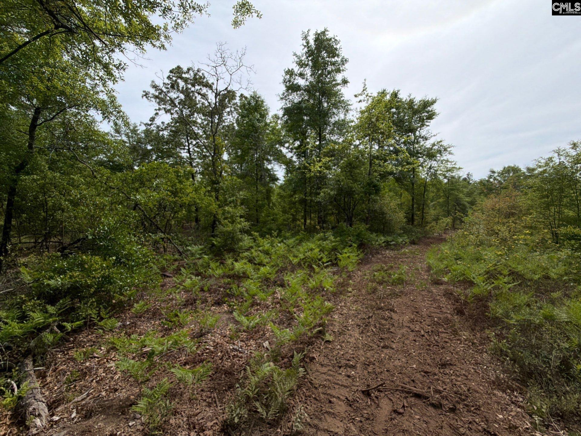 RRF 1 Rogers Cemetery Road UNIT RRF 1 Salley, SC 29137