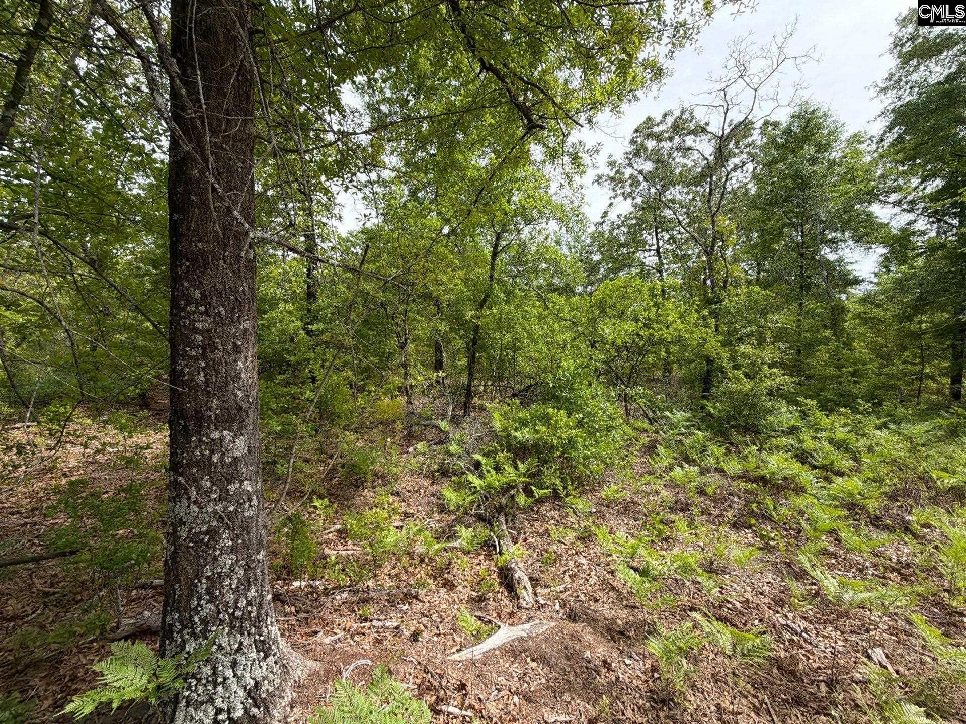 RRF 1 Rogers Cemetery Road UNIT RRF 1 Salley, SC 29137