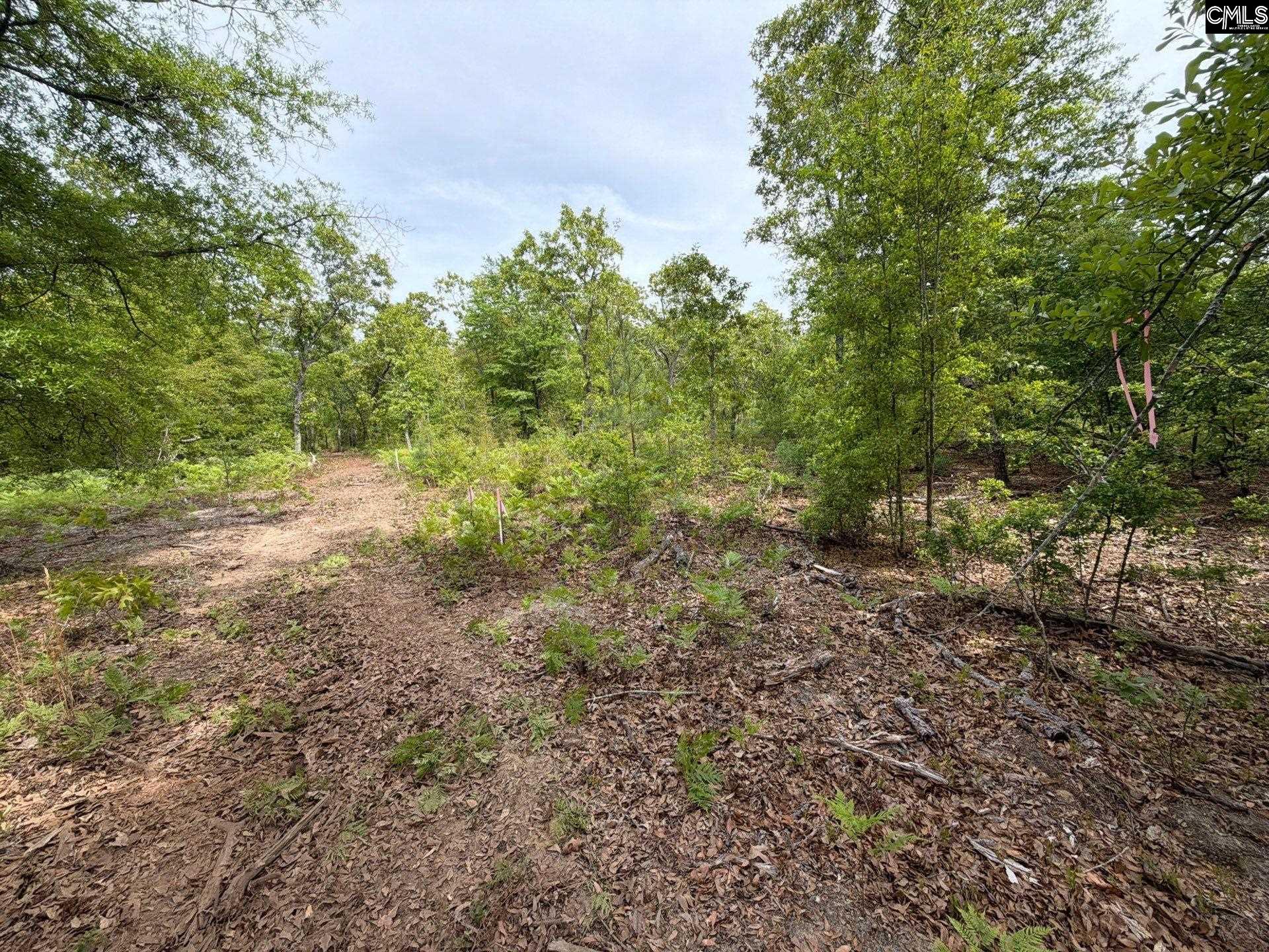 RRF 1 Rogers Cemetery Road UNIT RRF 1 Salley, SC 29137