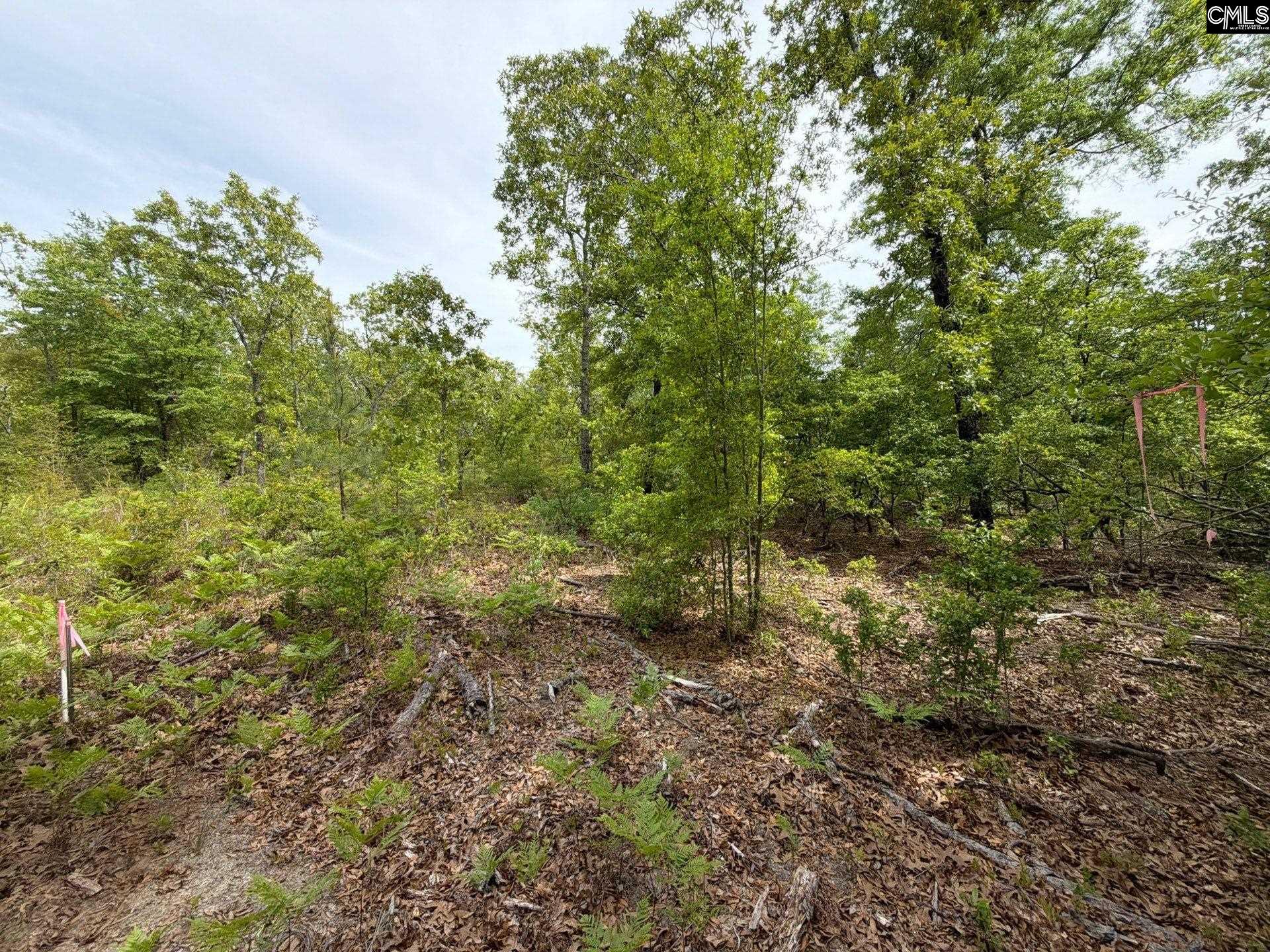 RRF 1 Rogers Cemetery Road UNIT RRF 1 Salley, SC 29137