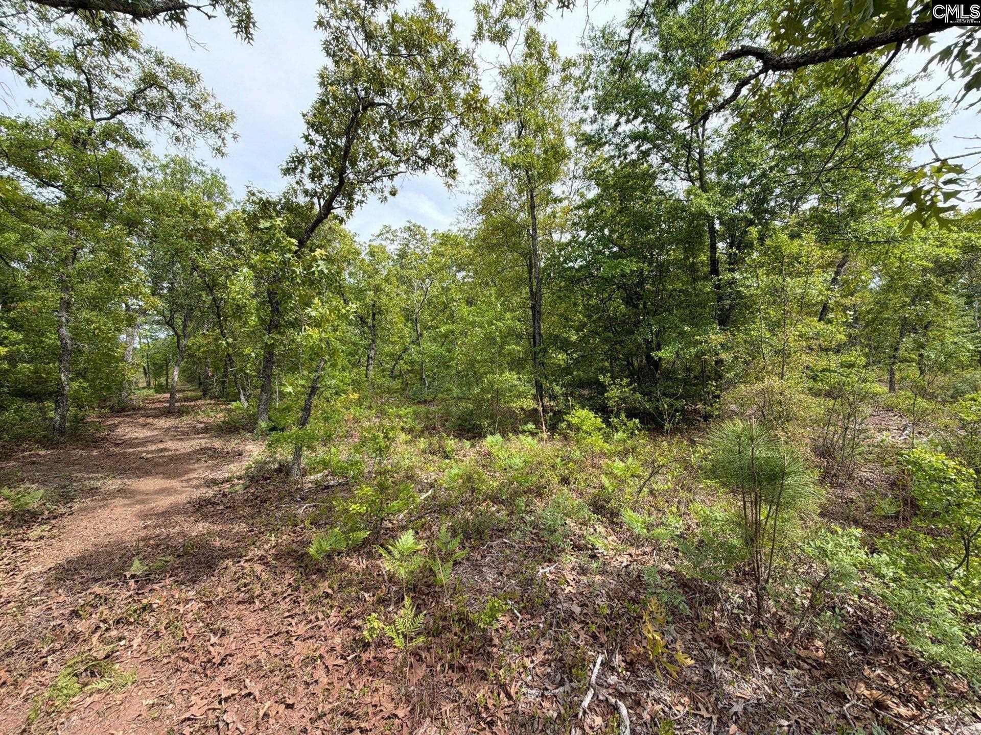 RRF 1 Rogers Cemetery Road UNIT RRF 1 Salley, SC 29137