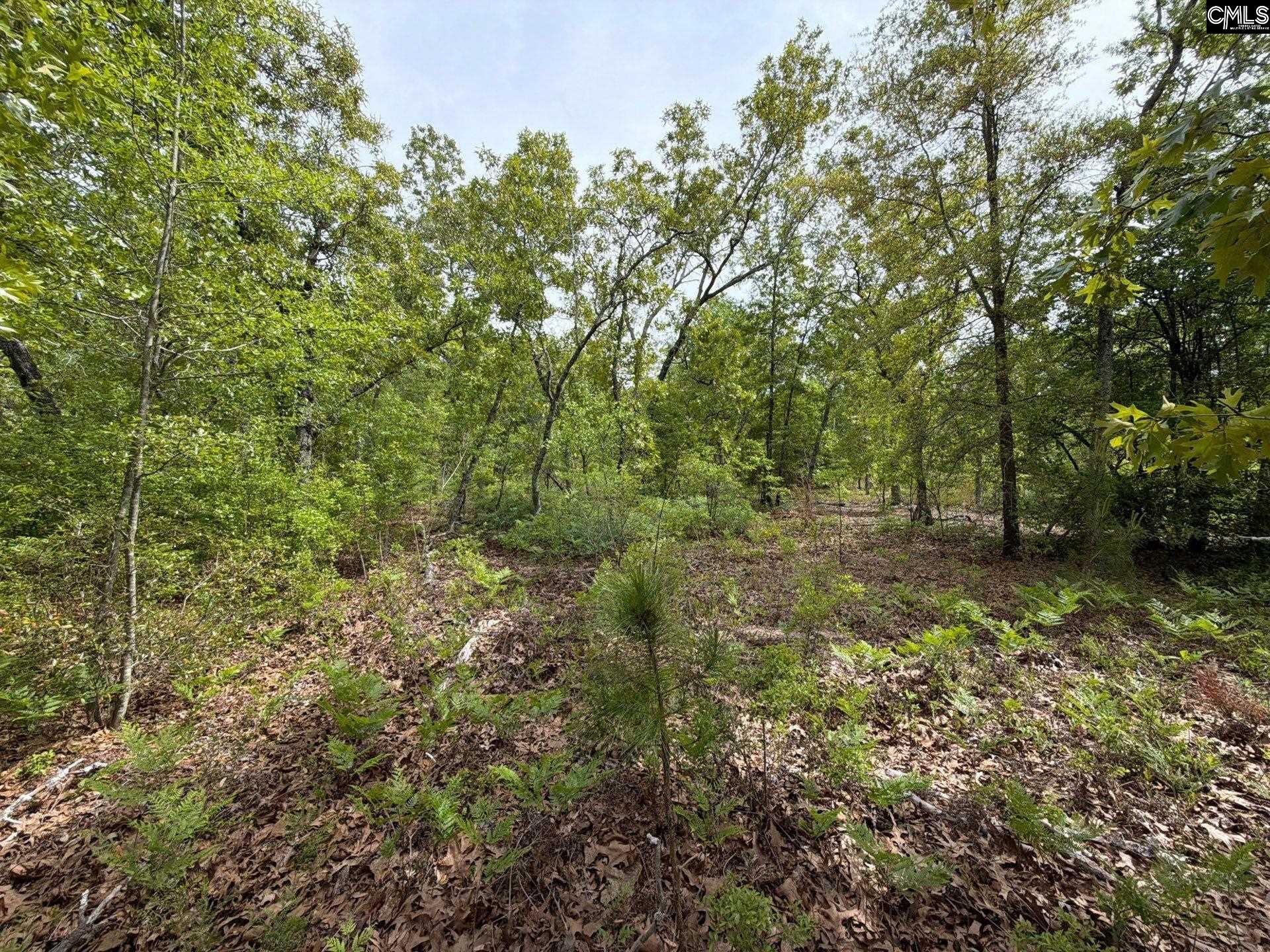 RRF 1 Rogers Cemetery Road UNIT RRF 1 Salley, SC 29137