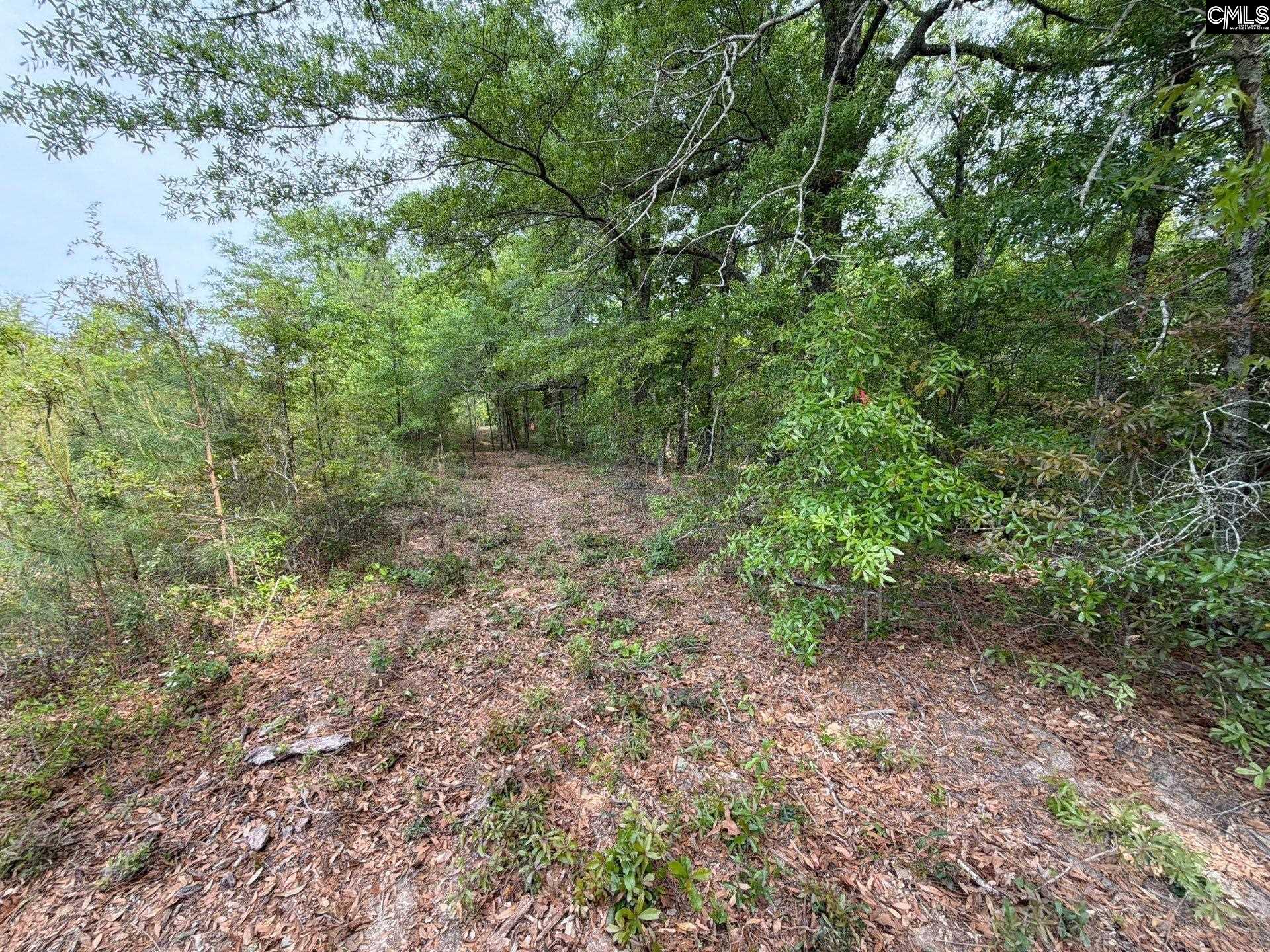 RRF 1 Rogers Cemetery Road UNIT RRF 1 Salley, SC 29137