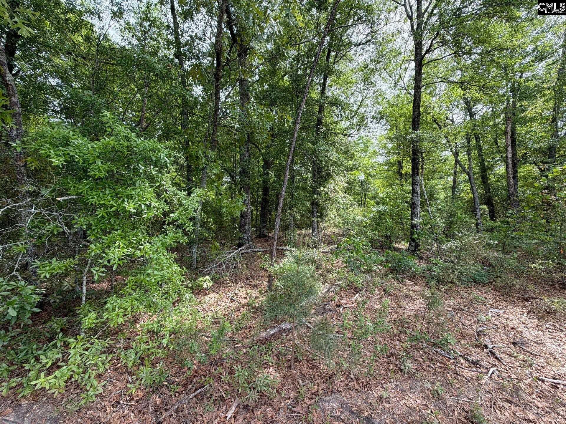 RRF 1 Rogers Cemetery Road UNIT RRF 1 Salley, SC 29137
