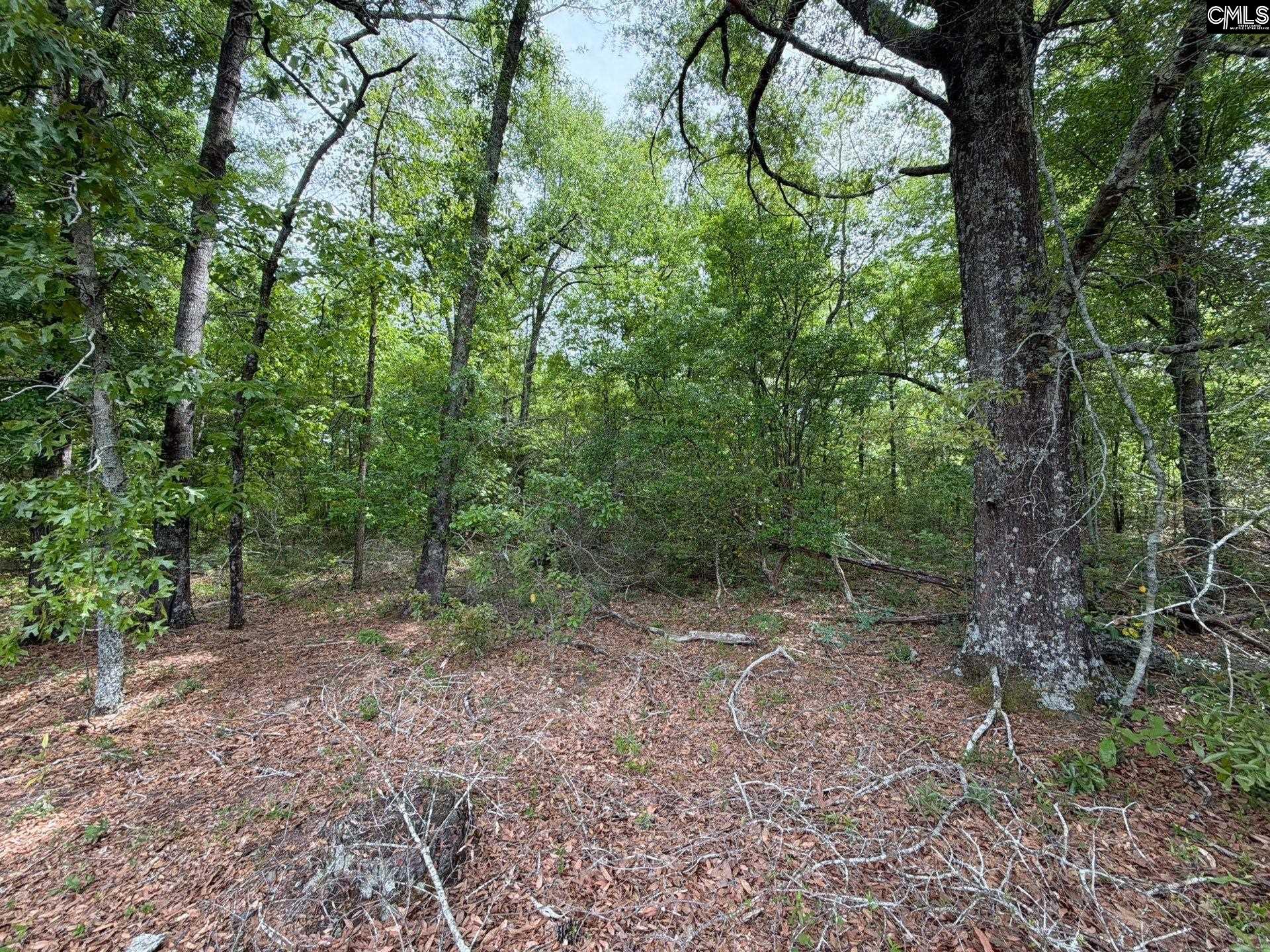 RRF 1 Rogers Cemetery Road UNIT RRF 1 Salley, SC 29137