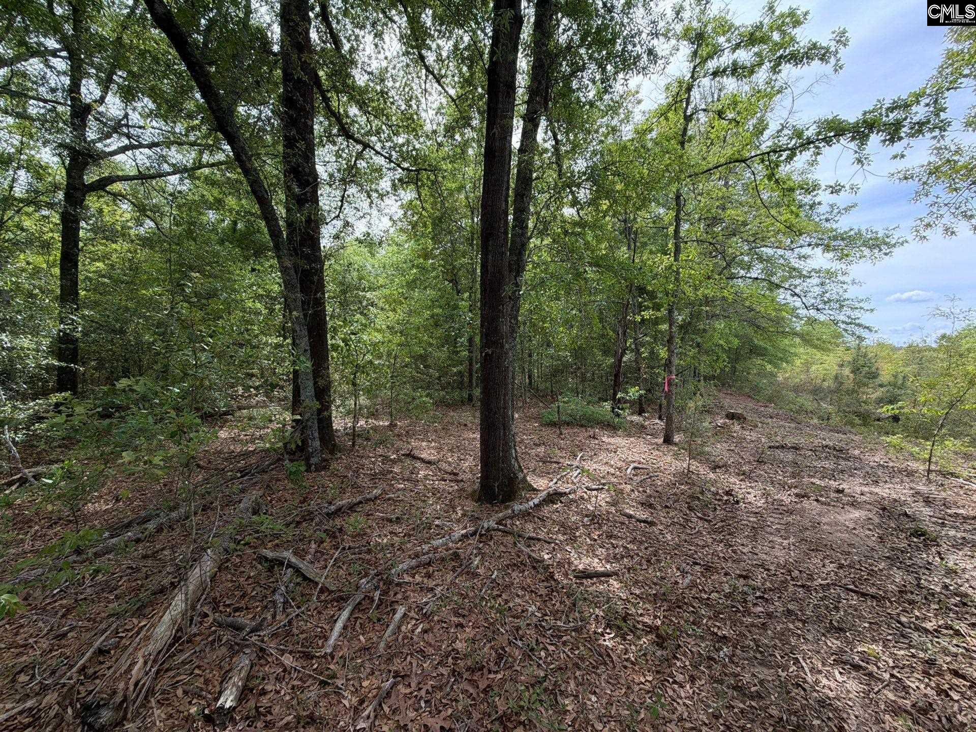 RRF 1 Rogers Cemetery Road UNIT RRF 1 Salley, SC 29137