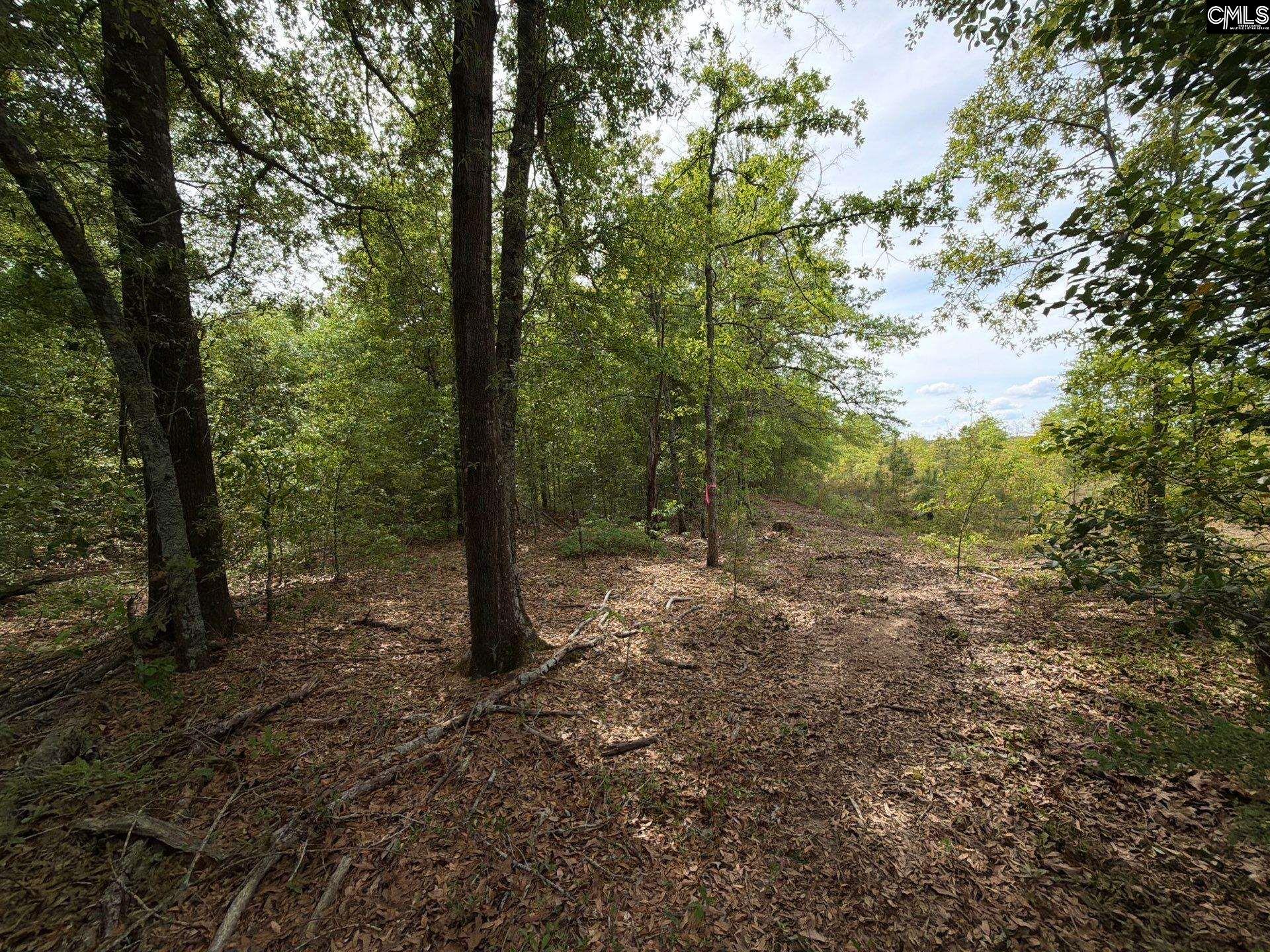 RRF 1 Rogers Cemetery Road UNIT RRF 1 Salley, SC 29137