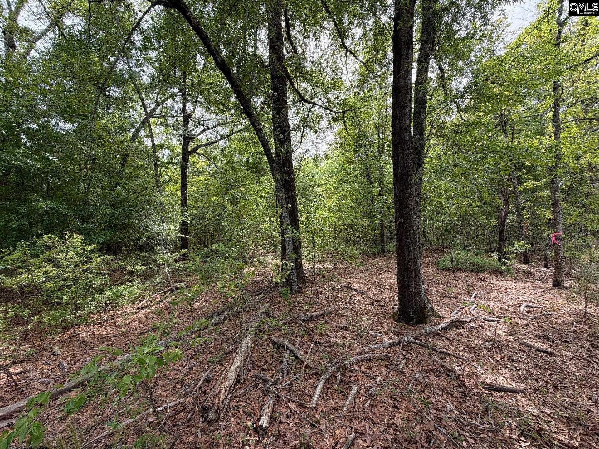 RRF 1 Rogers Cemetery Road UNIT RRF 1 Salley, SC 29137