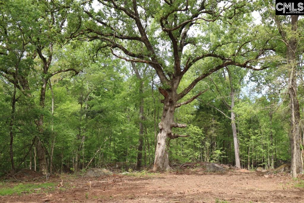 Beulah Road Leesville, SC 29070